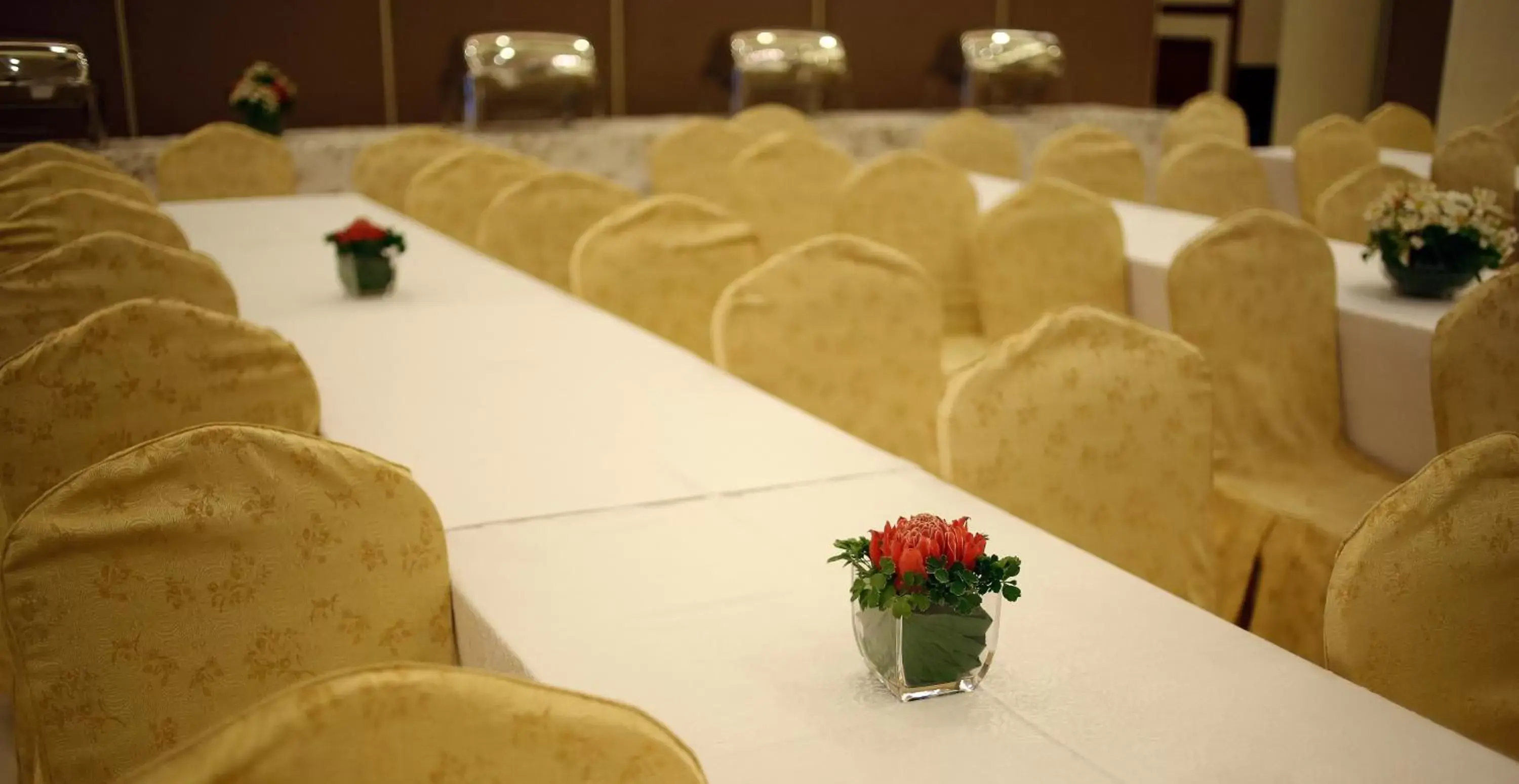Banquet/Function facilities in Villa Caceres Hotel