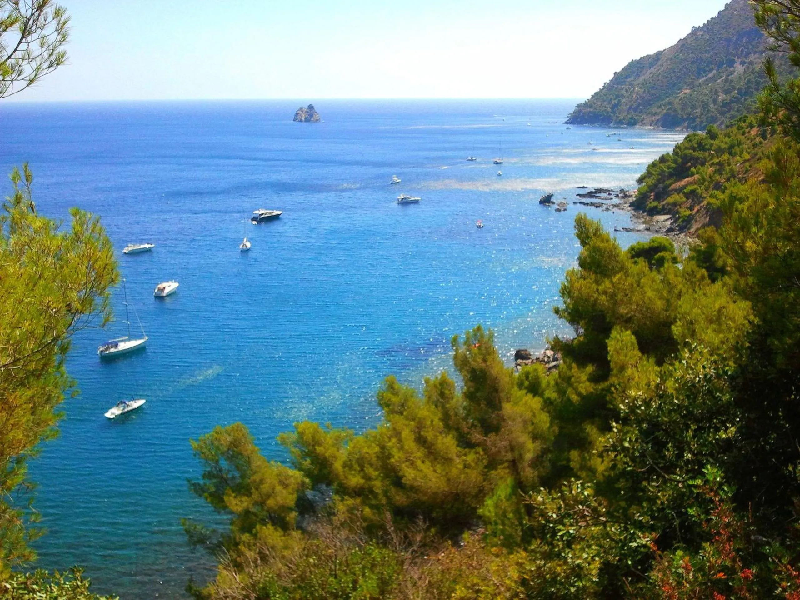 Area and facilities in Best Western Plus Sanary