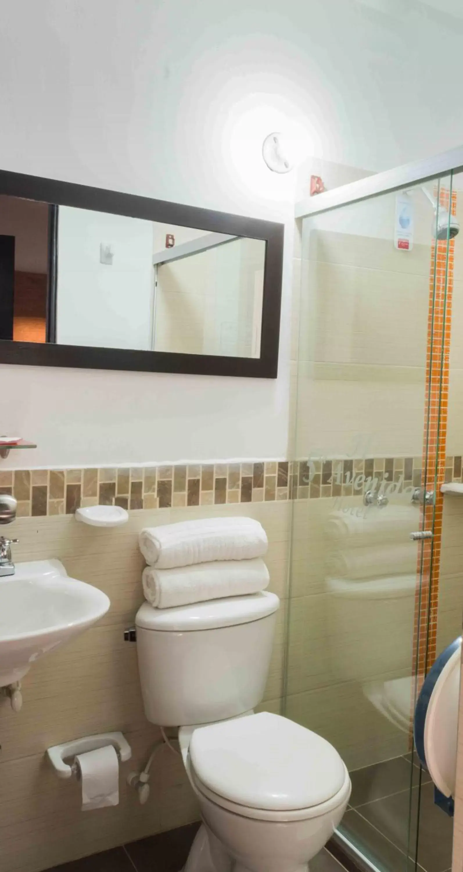 Shower, Bathroom in Hotel Quinta Avenida