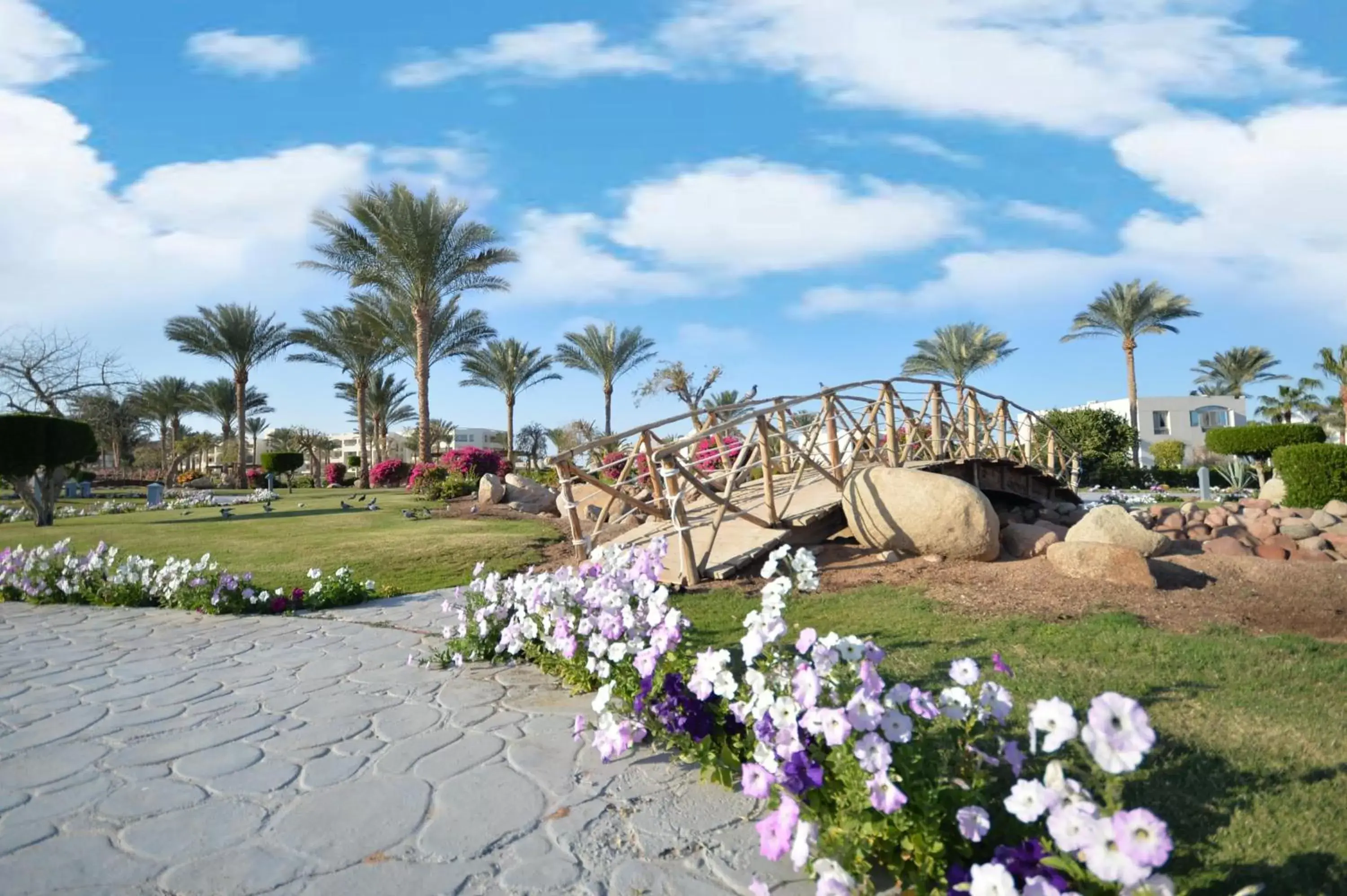 Garden in Aurora Oriental Resort Sharm El Sheikh