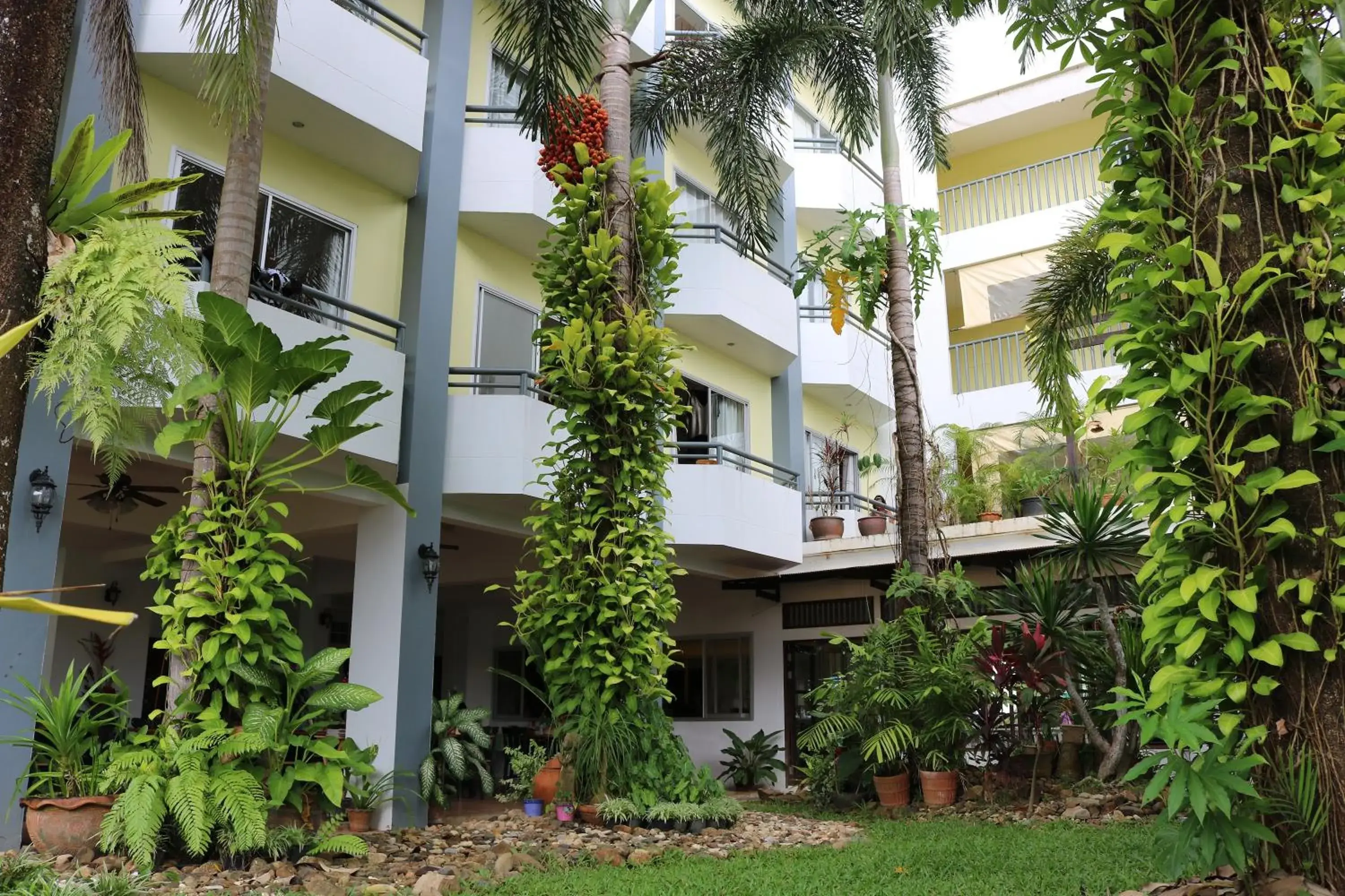Garden, Property Building in The Greenery Hotel