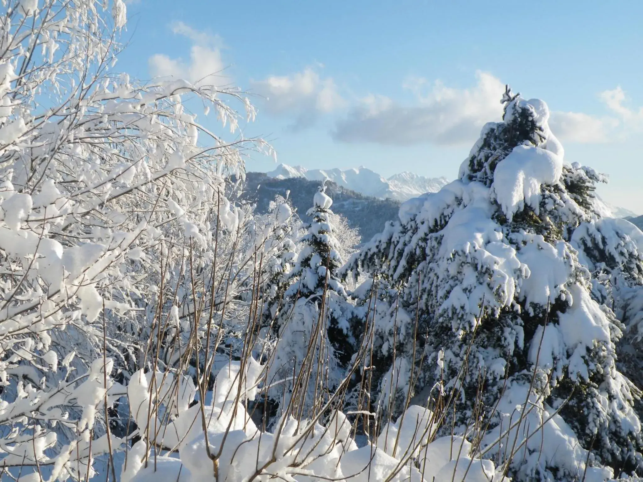 Mountain view, Winter in Avantici Citotel Gap