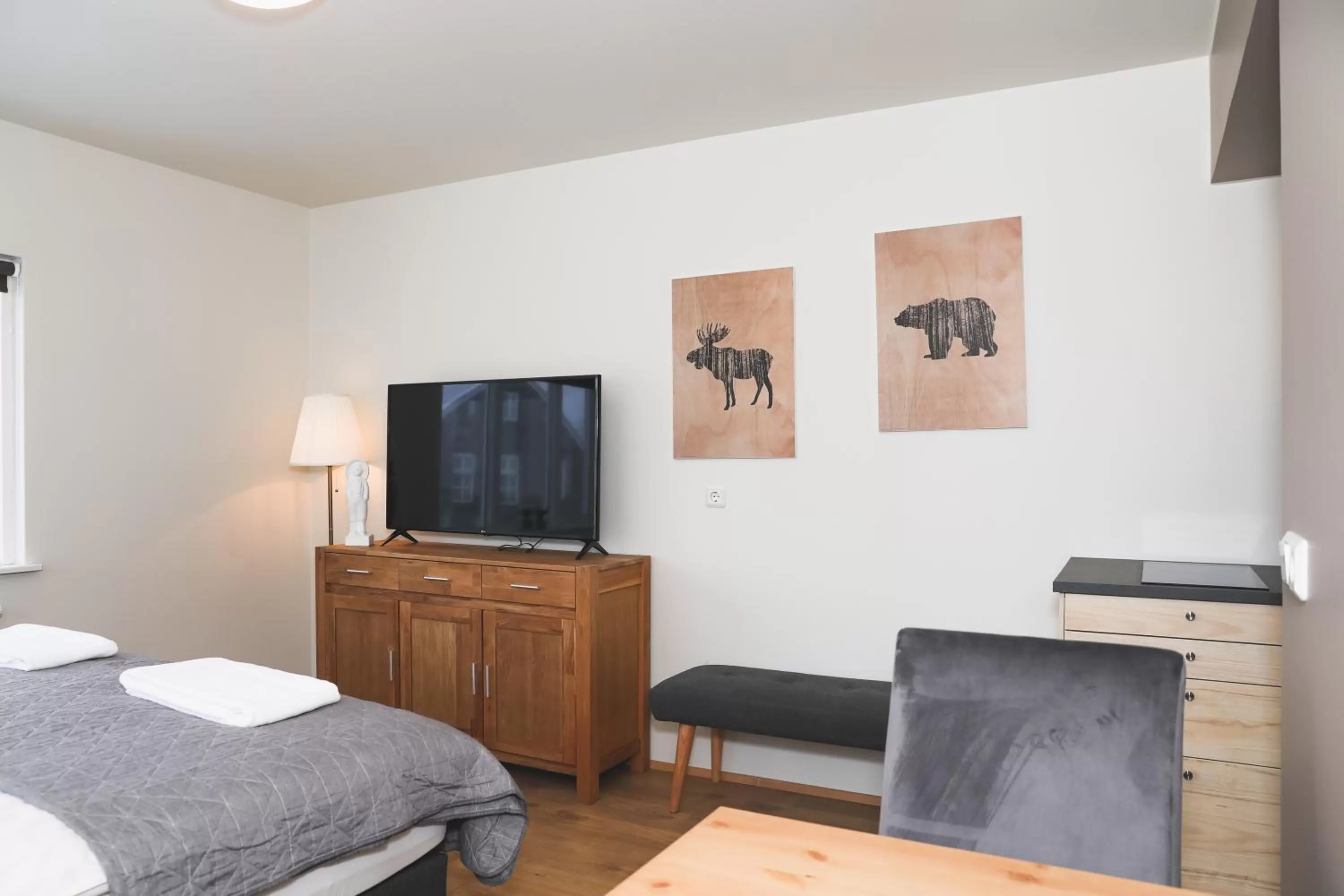 TV and multimedia in E18 Apartments