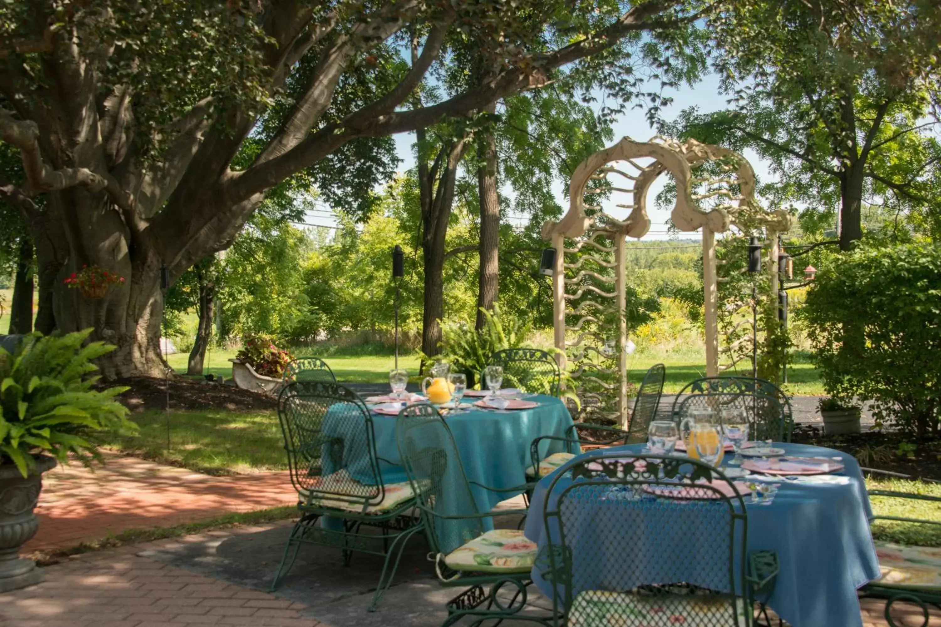 Garden, Restaurant/Places to Eat in Sutherland House Victorian Bed and Breakfast