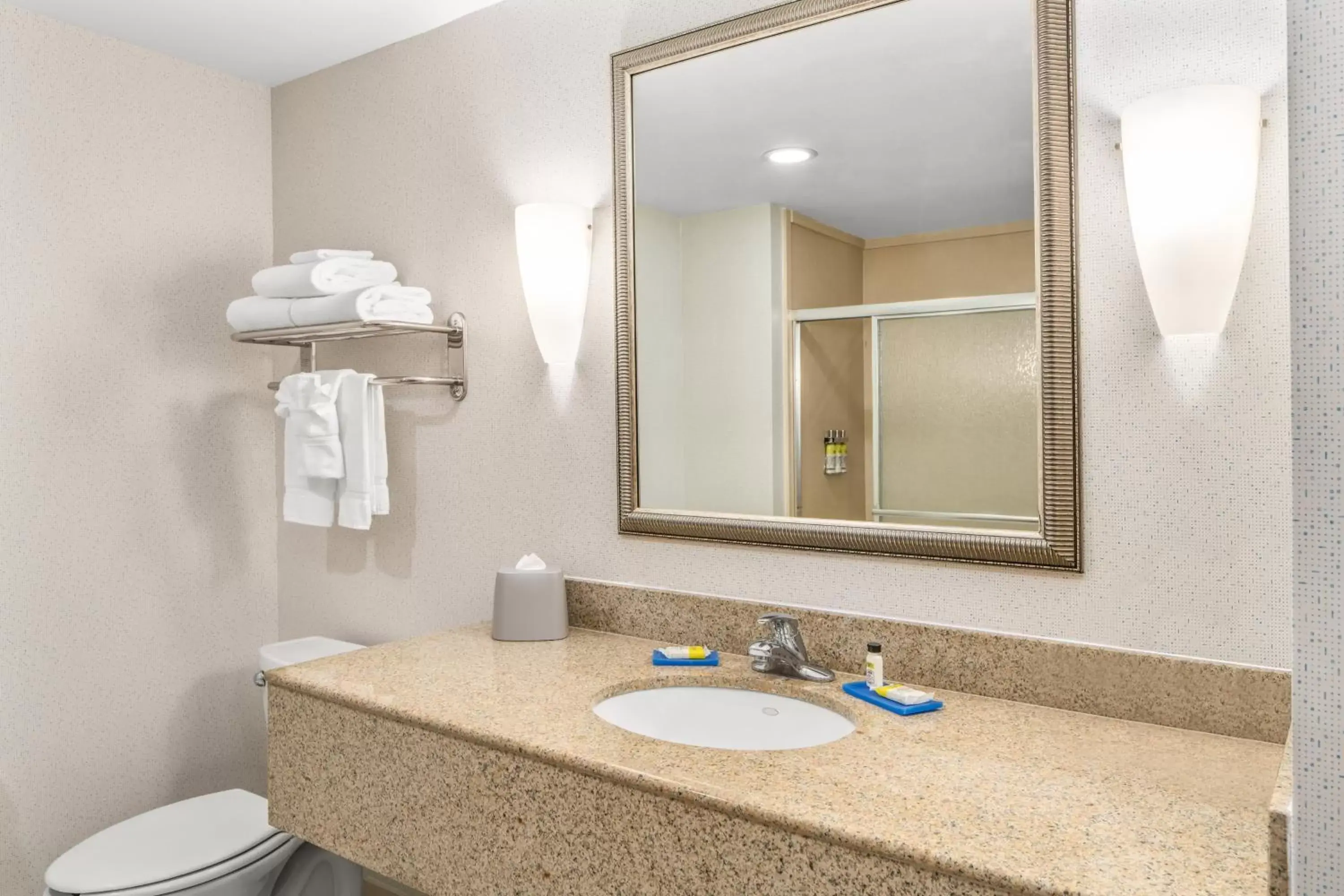 Photo of the whole room, Bathroom in Holiday Inn Express & Suites Wilmington-Newark, an IHG Hotel