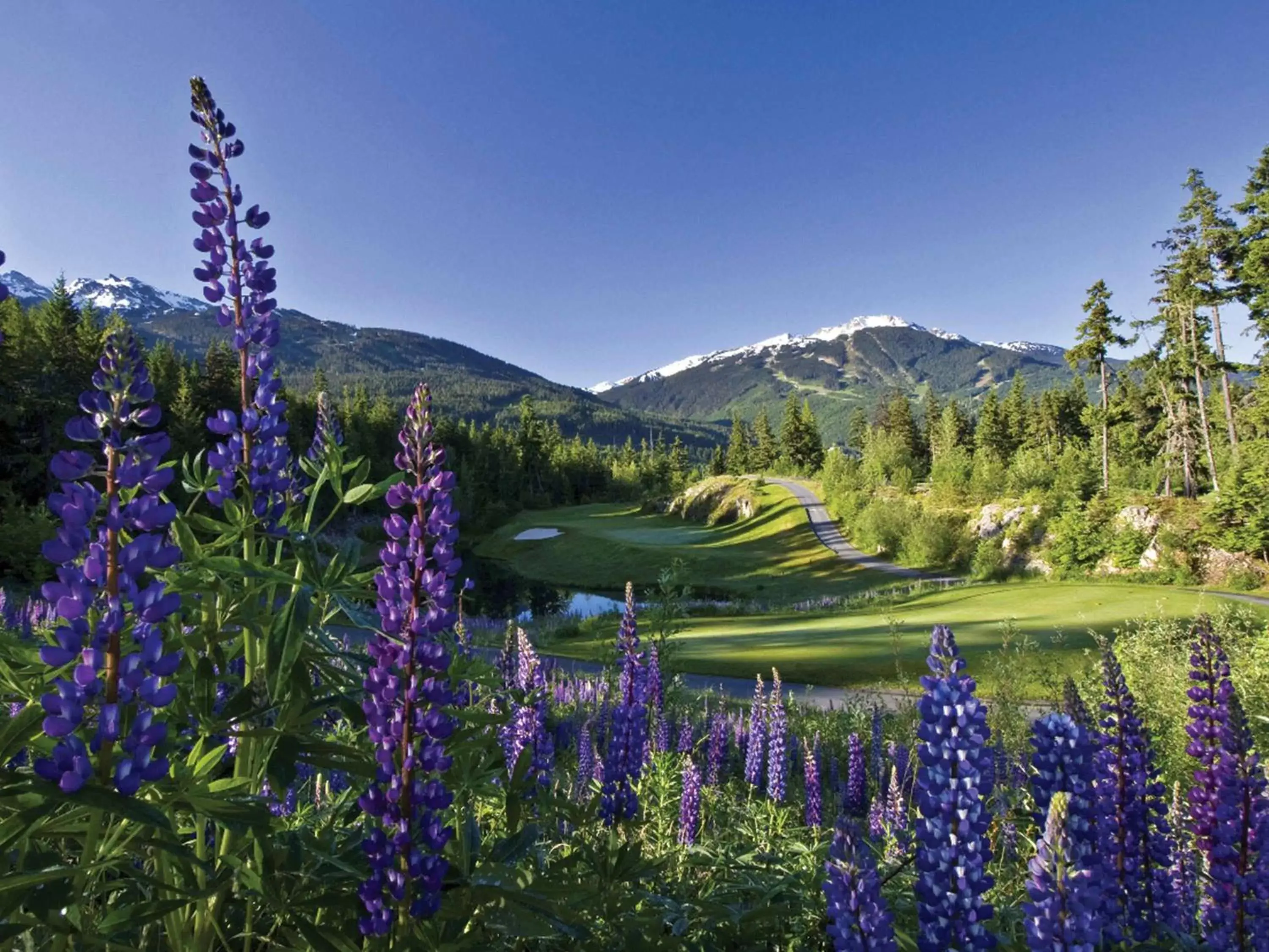 Activities in Fairmont Chateau Whistler