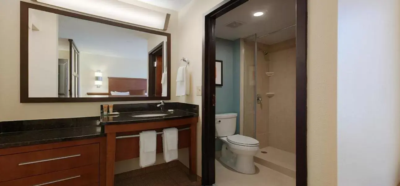 King Room with Sofa Bed - High Floor in Hyatt Place Raleigh Cary King Room with Sofa Bed - High Floor in Hyatt Place Raleigh Cary