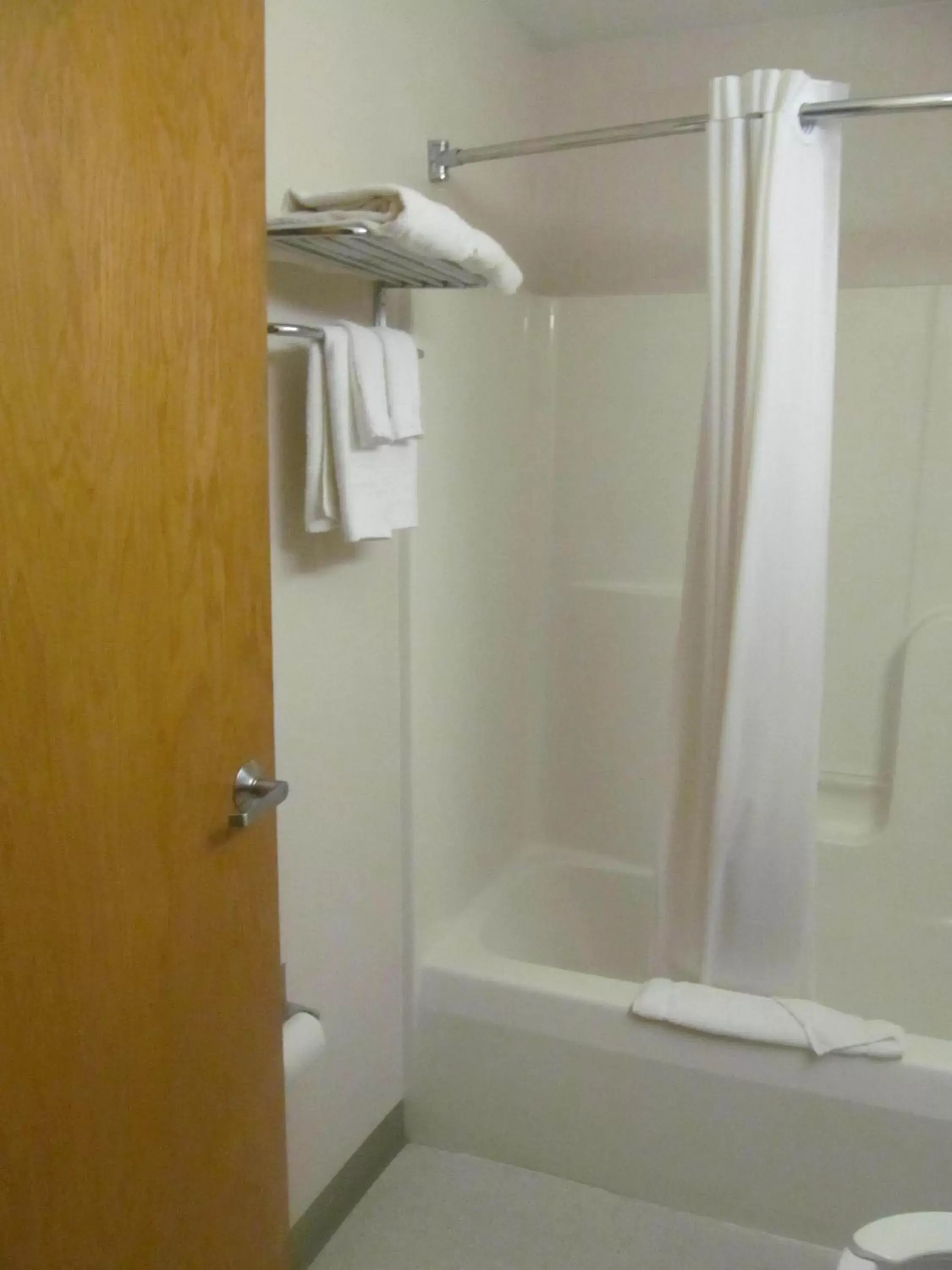 Shower, Bathroom in Microtel Inn by Wyndham Champaign