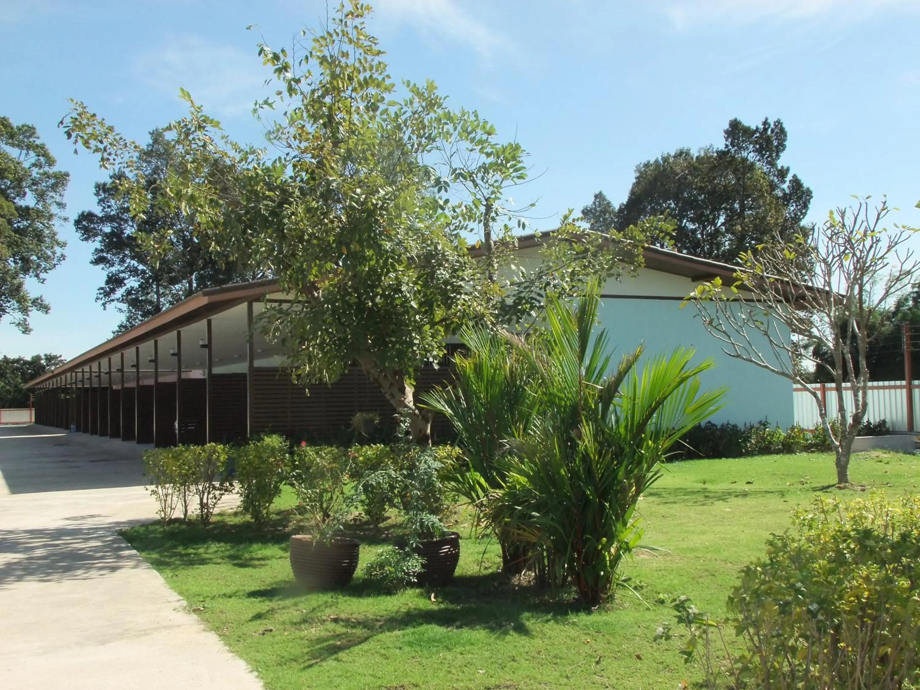 Garden in Chao Phraya Home