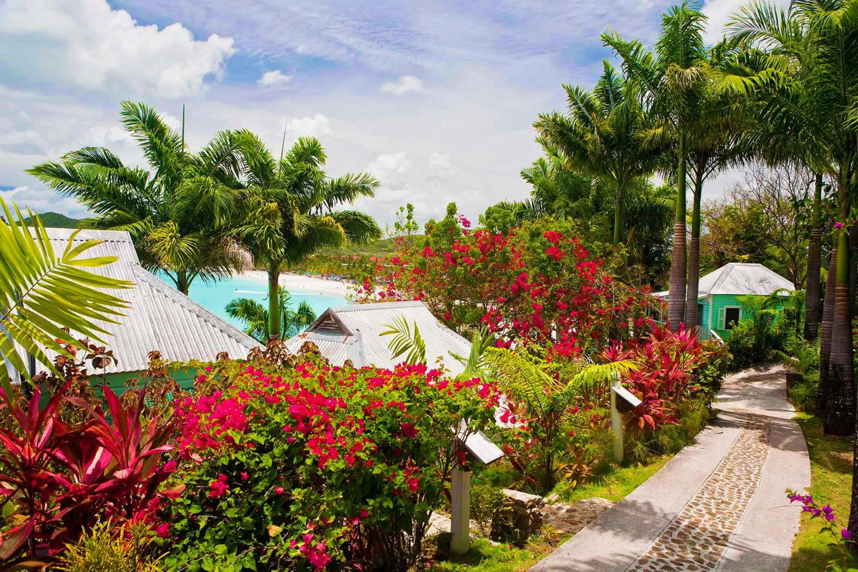 Garden in COCOS Hotel Antigua - All Inclusive - Adults Only