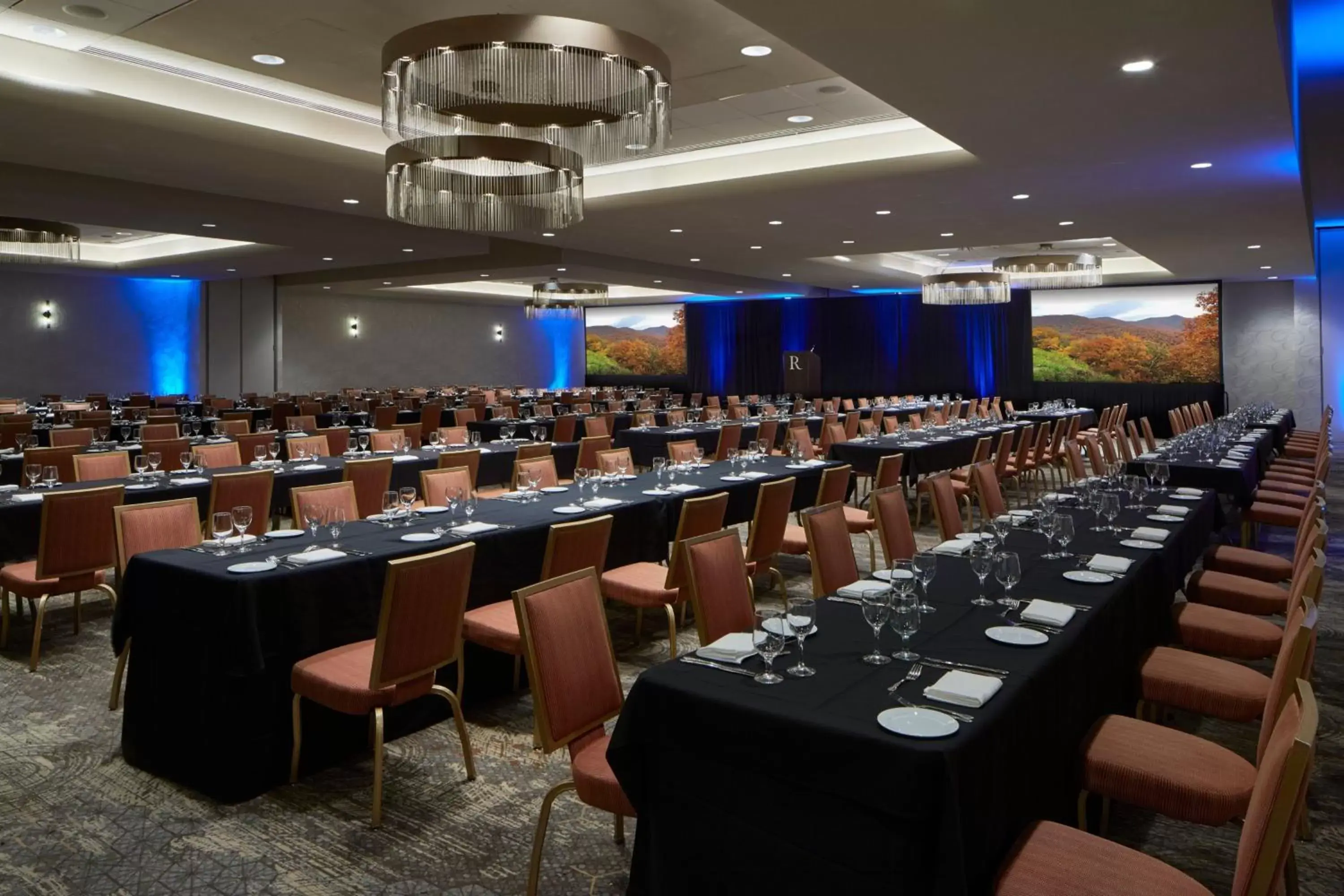 Meeting/conference room in Renaissance Asheville Downtown Hotel