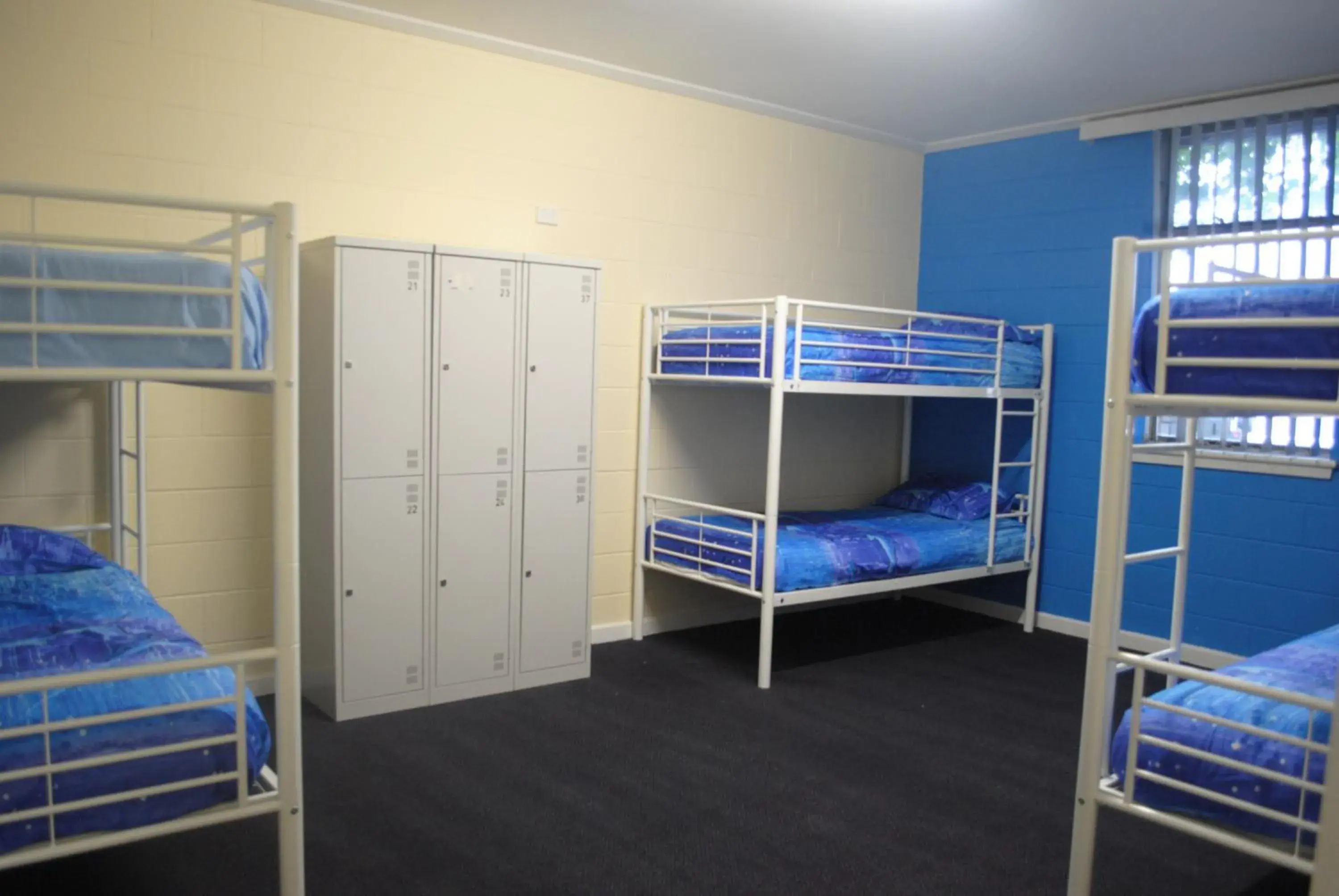 Bunk Bed in Port Adelaide Backpackers