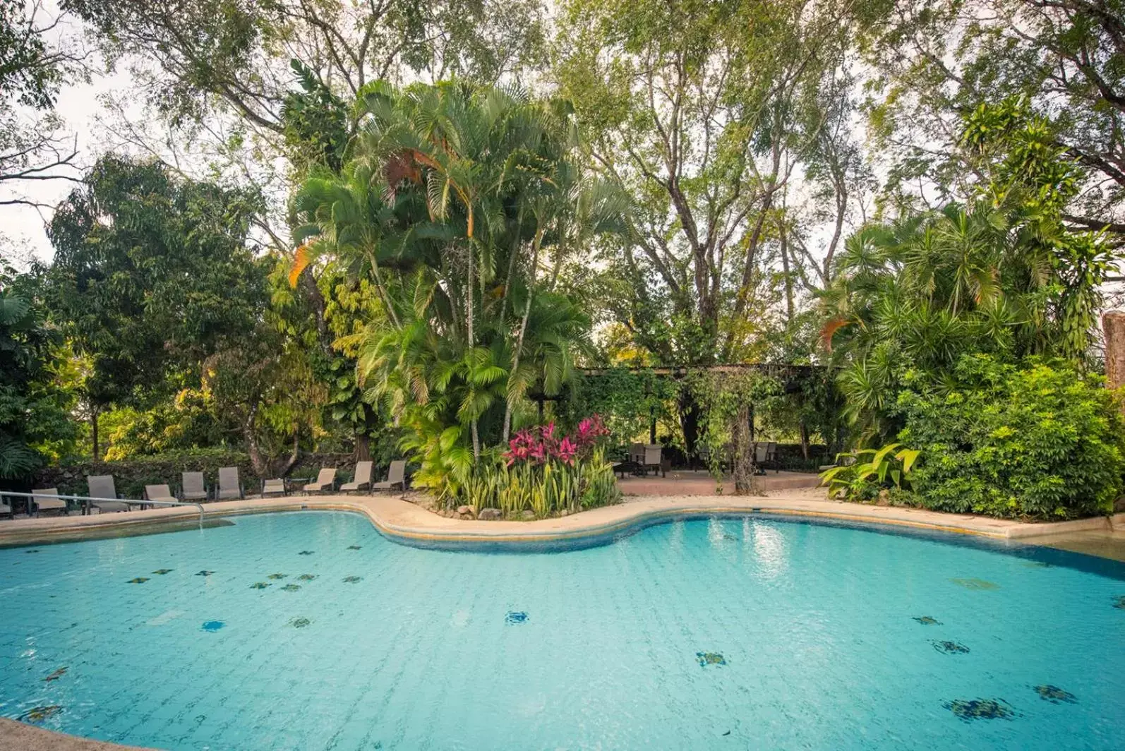 Pool view, Swimming Pool in Hacienda Guachipelin Volcano Ranch Hotel & Hot Springs