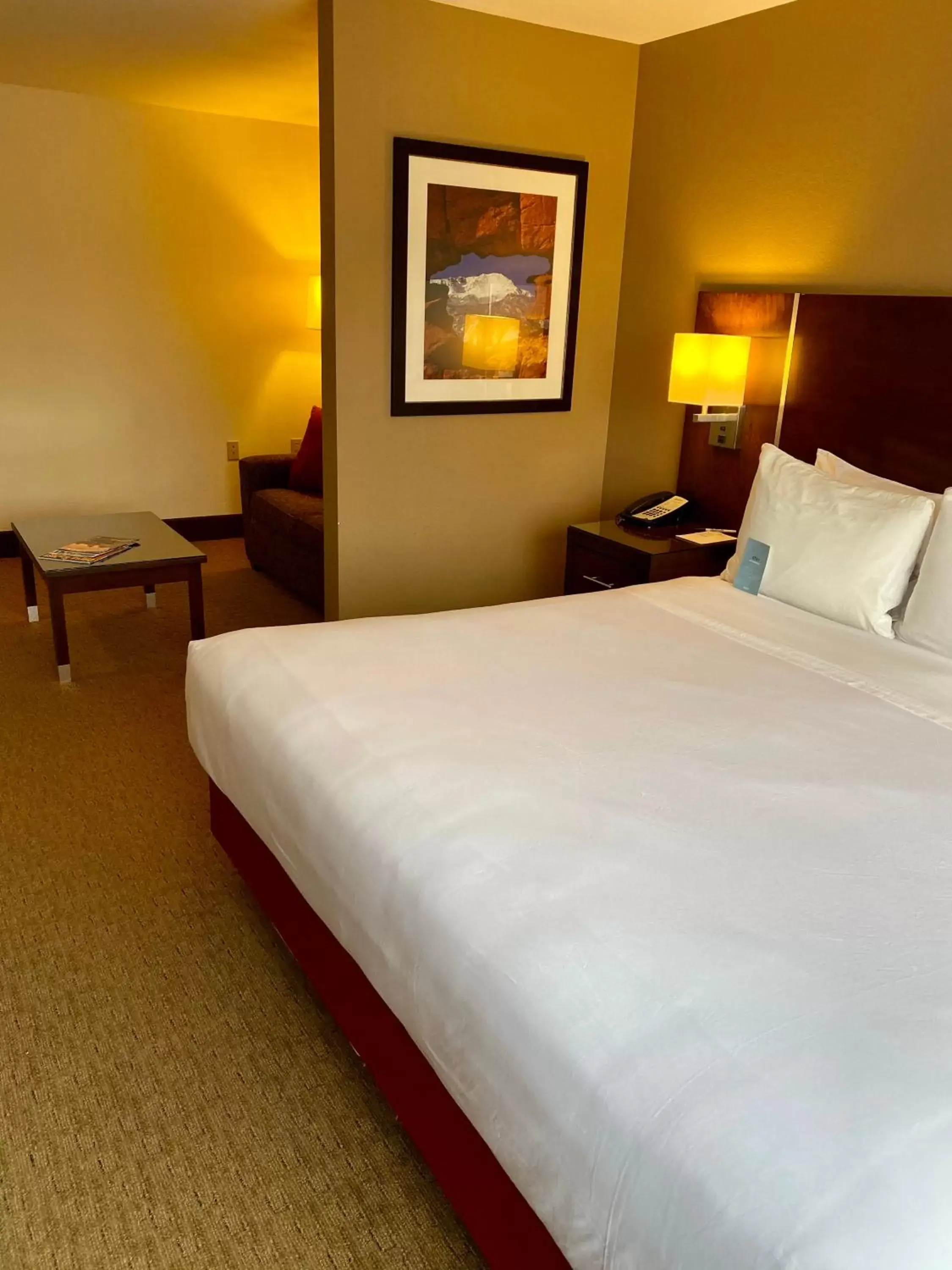 King Room with Accessible Roll-In Shower in Radisson Hotel Colorado Springs King Room with Accessible Roll-In Shower in Radisson Hotel Colorado Springs