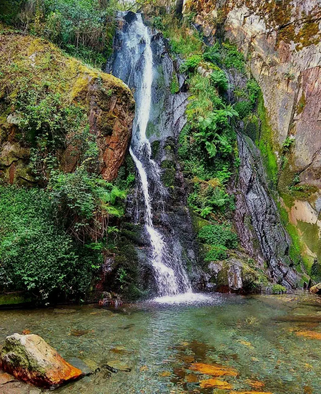 Natural Landscape in Fonte d' Amandos