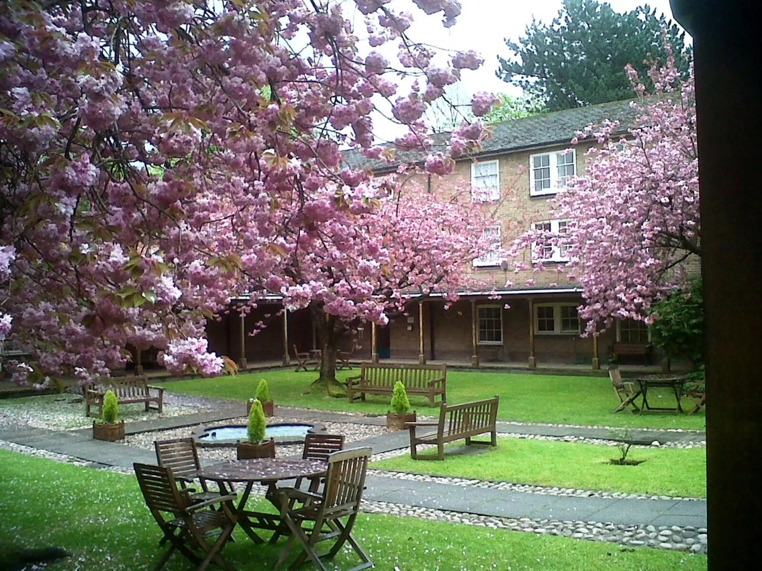 Spring, Garden in Luther King House