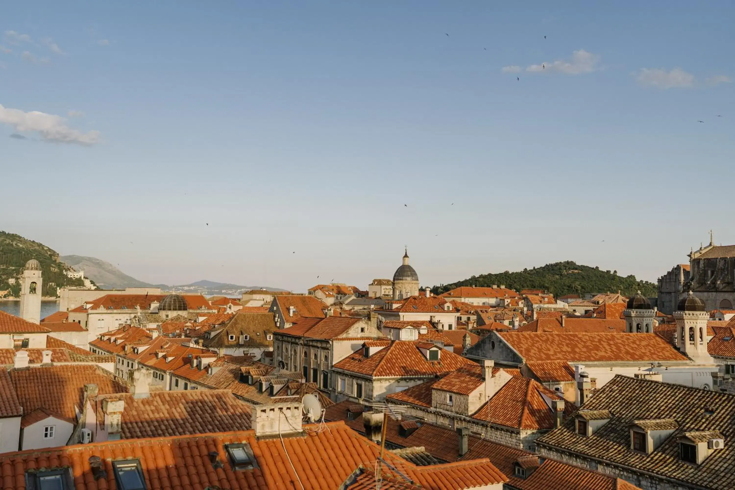 View (from property/room) in Boutique Hotel Stari Grad