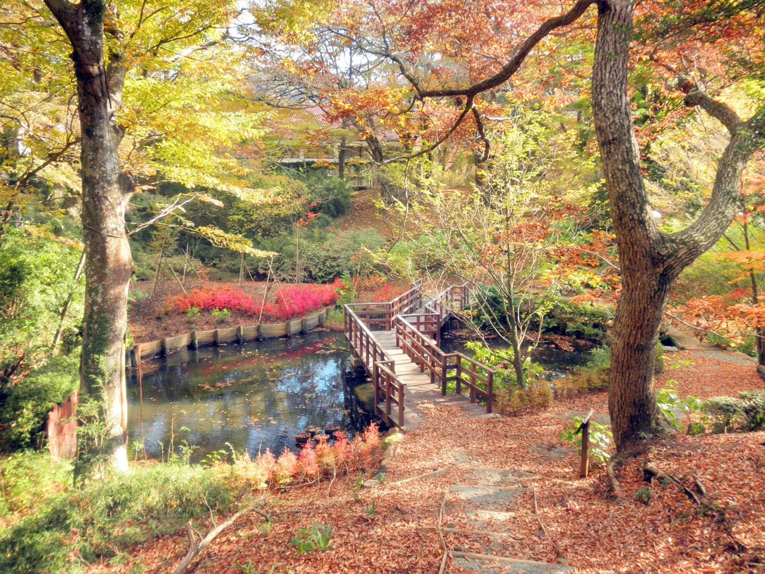 Garden in Hakone Highland Hotel