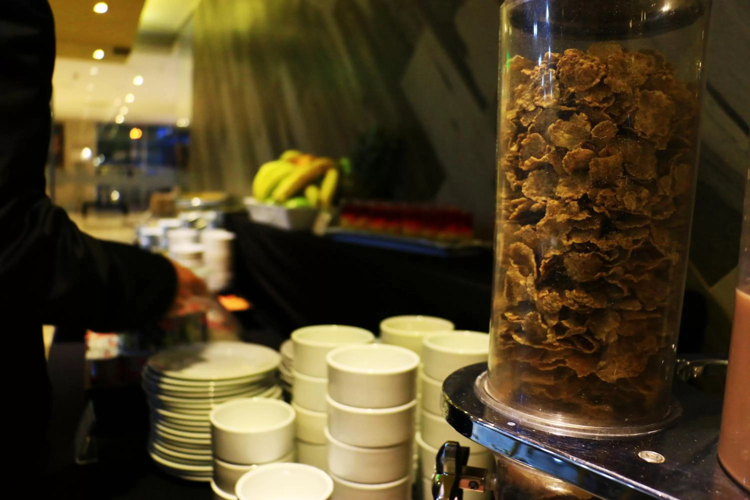 Continental breakfast in Hotel Diego de Almagro Providencia