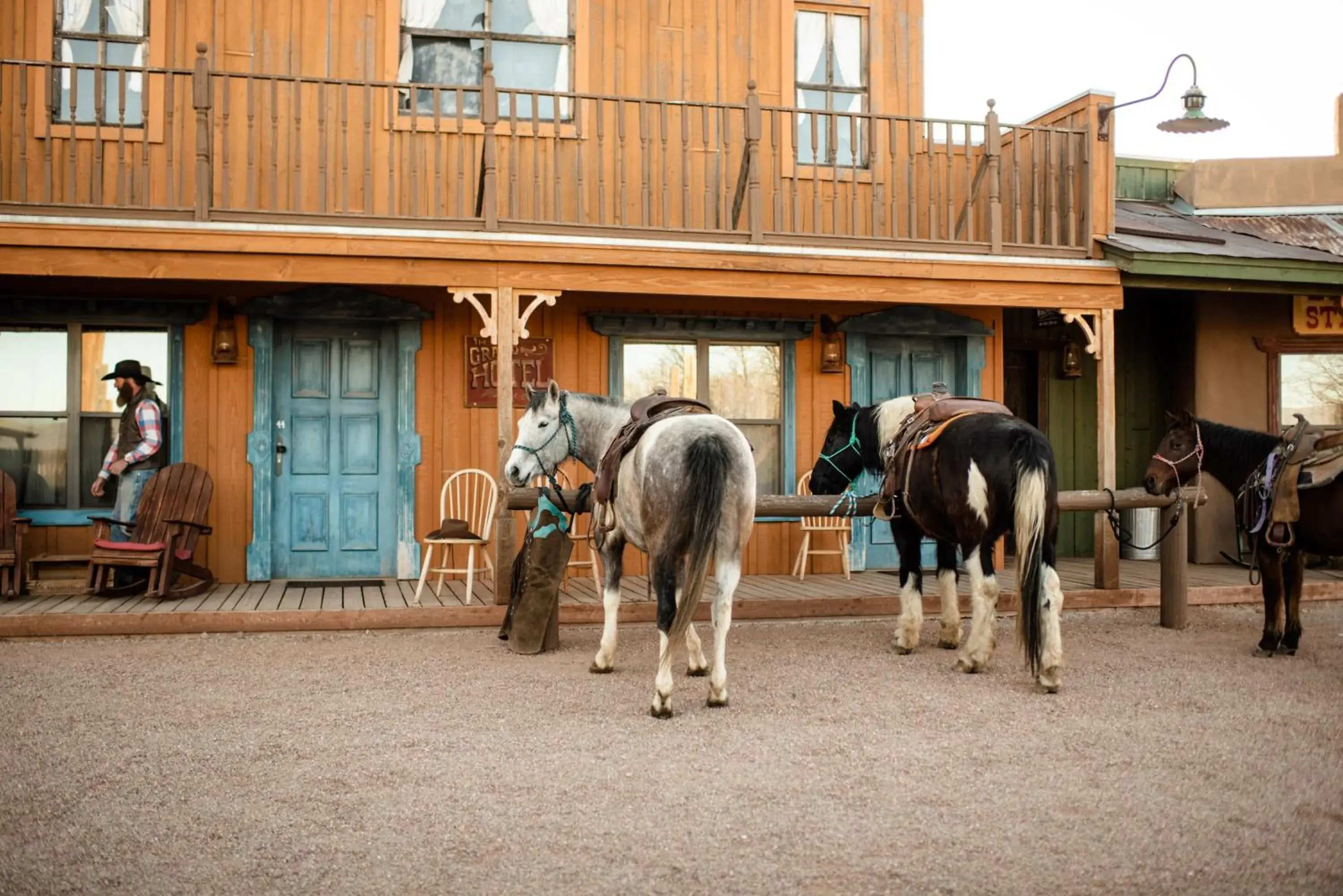 Property building, Other Animals in Tombstone Monument Guest Ranch