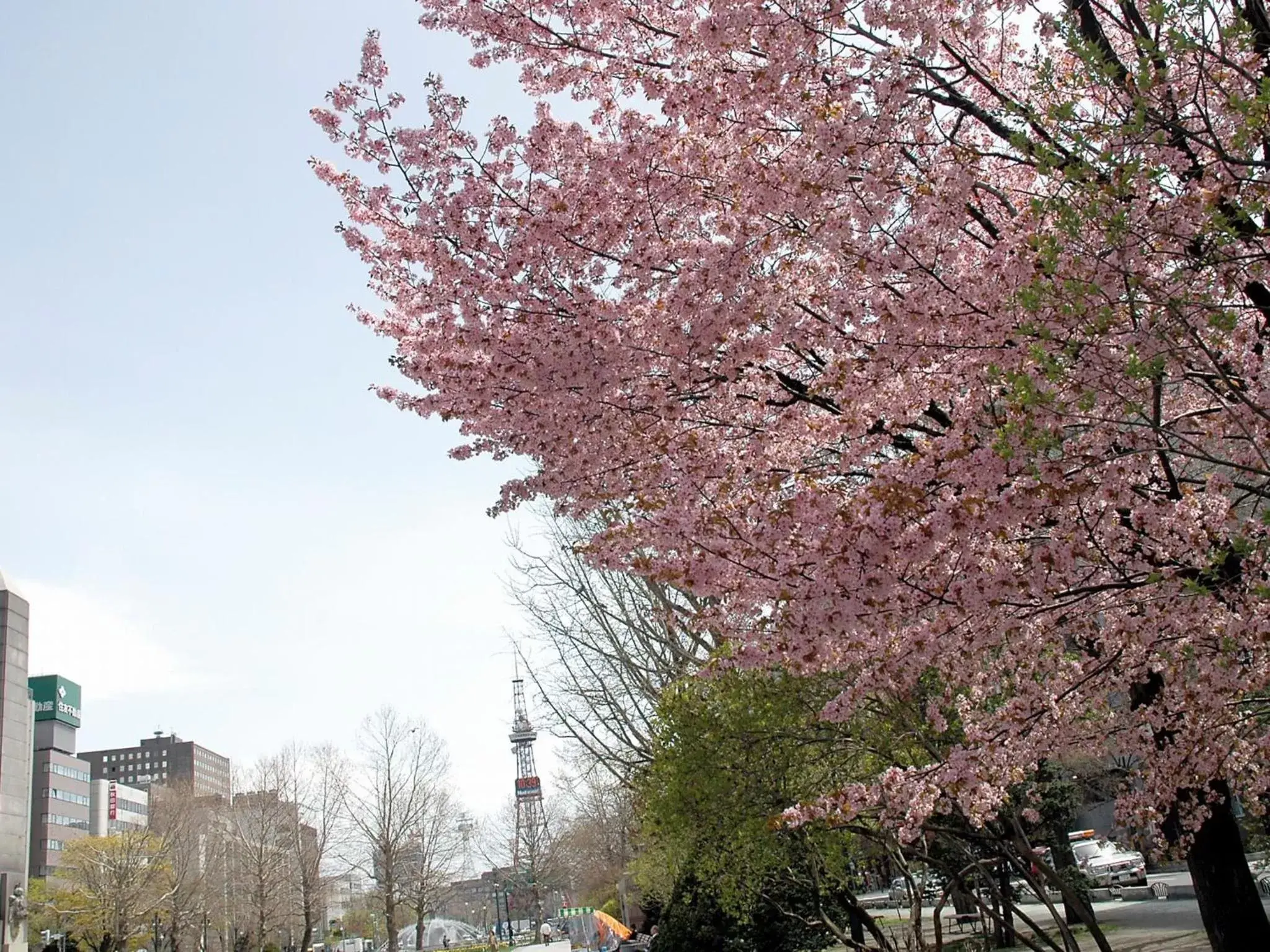 Nearby landmark in APA Hotel & Resort Sapporo