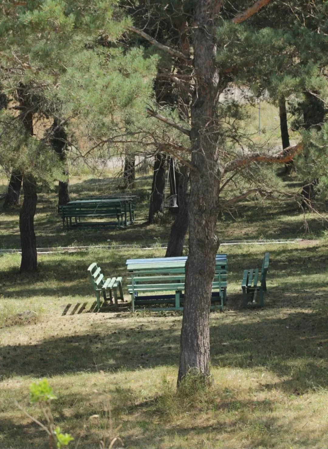 Natural landscape, Garden in Tsalka