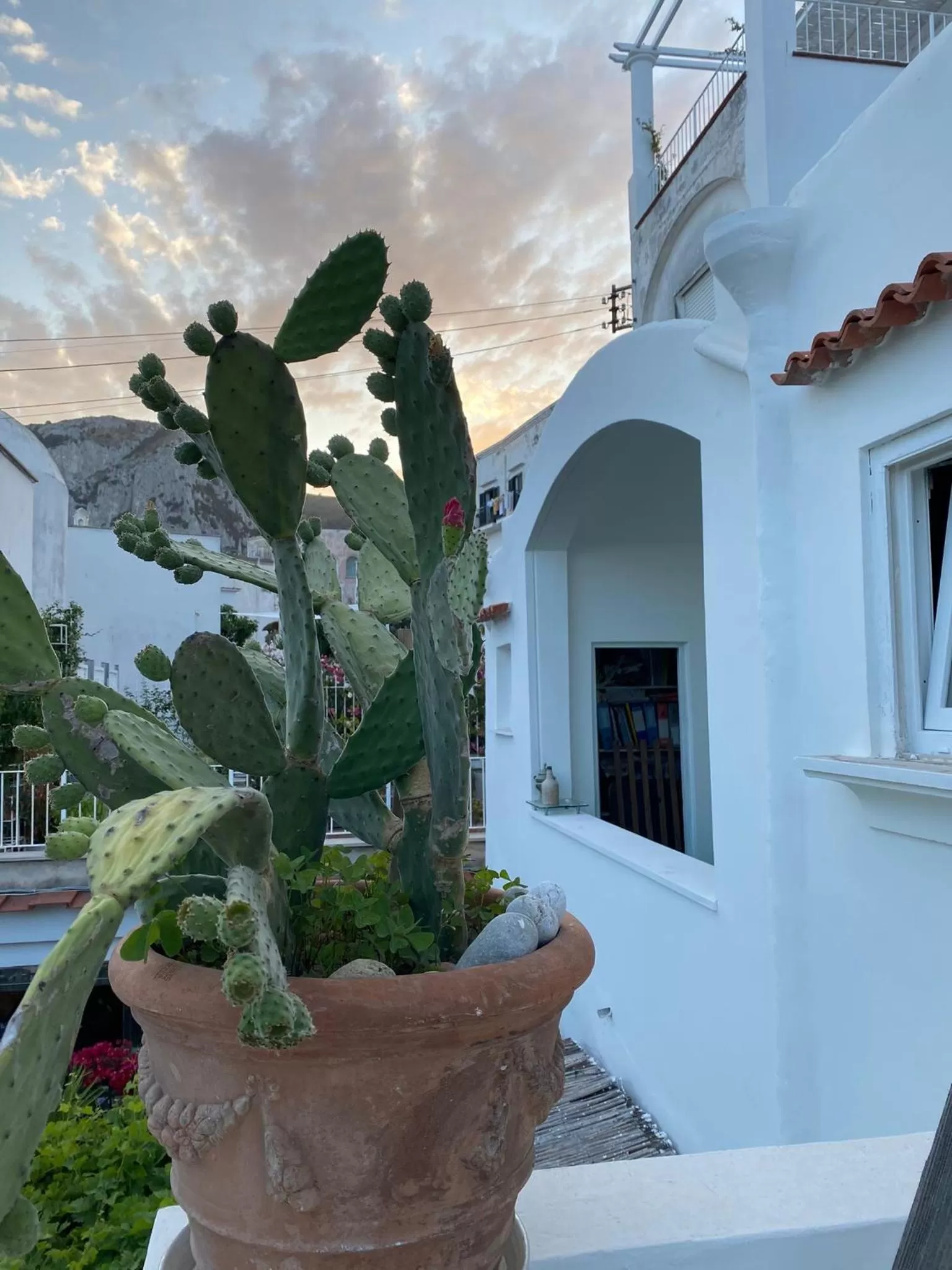 Property Building in Suites Edivino Design Capri