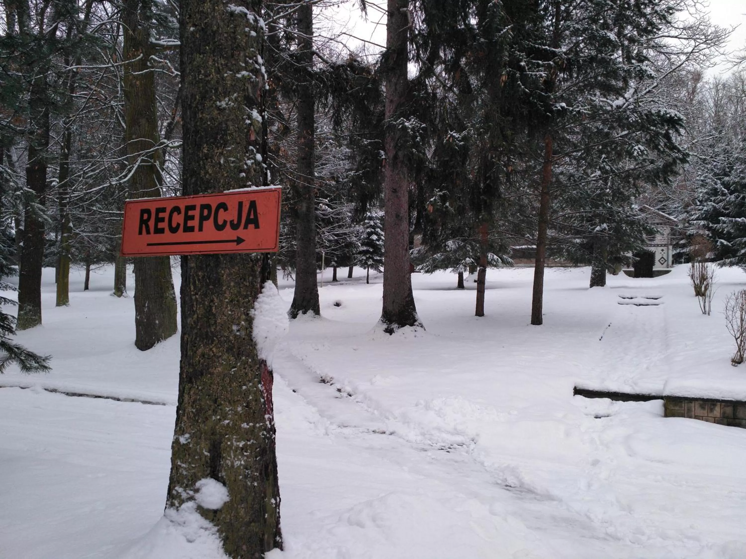 Garden view in OWR Relax - Hostel położony blisko atrakcji turystycznych