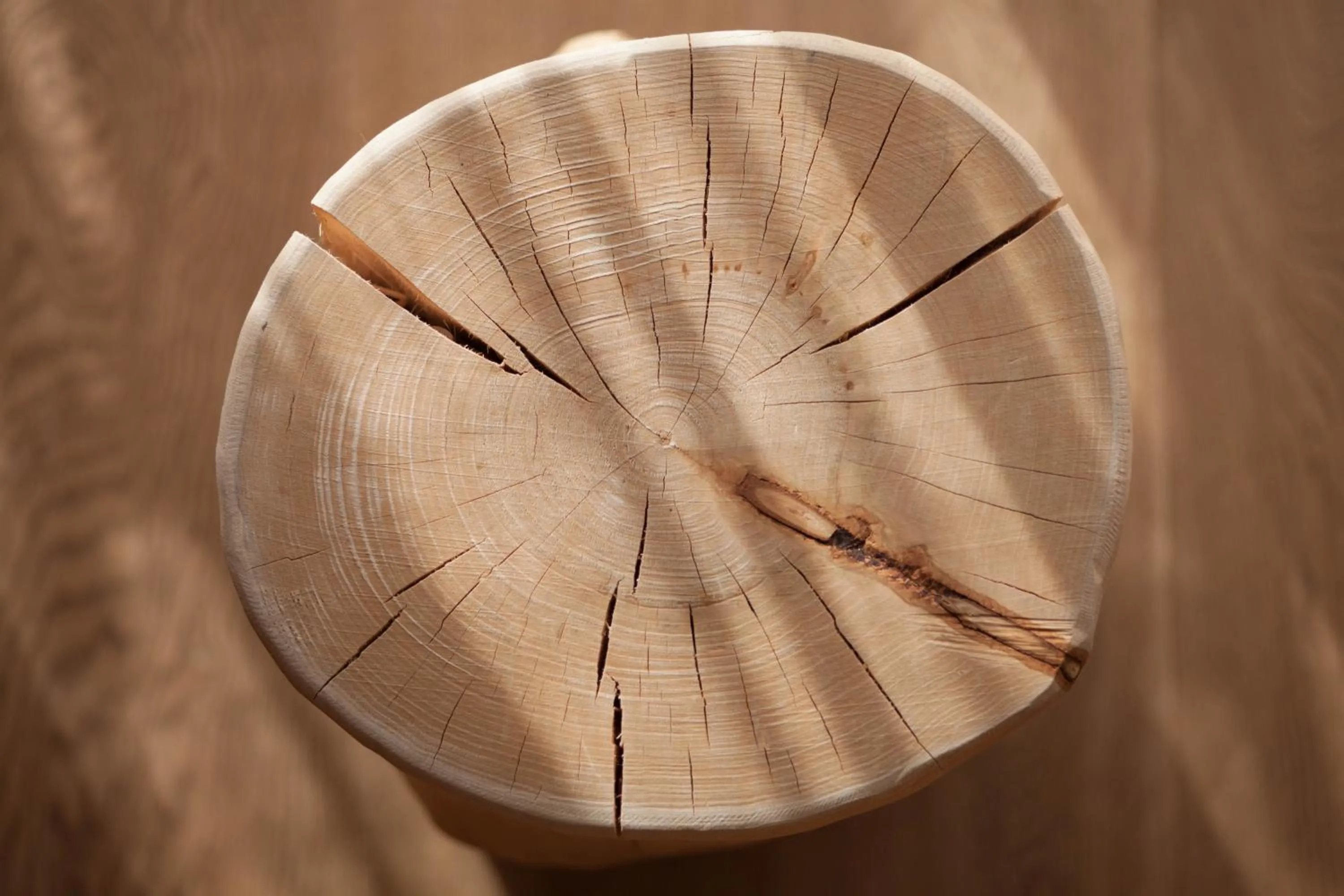 Photo of the whole room in Pineta Nature Resort - Wellness & SPA