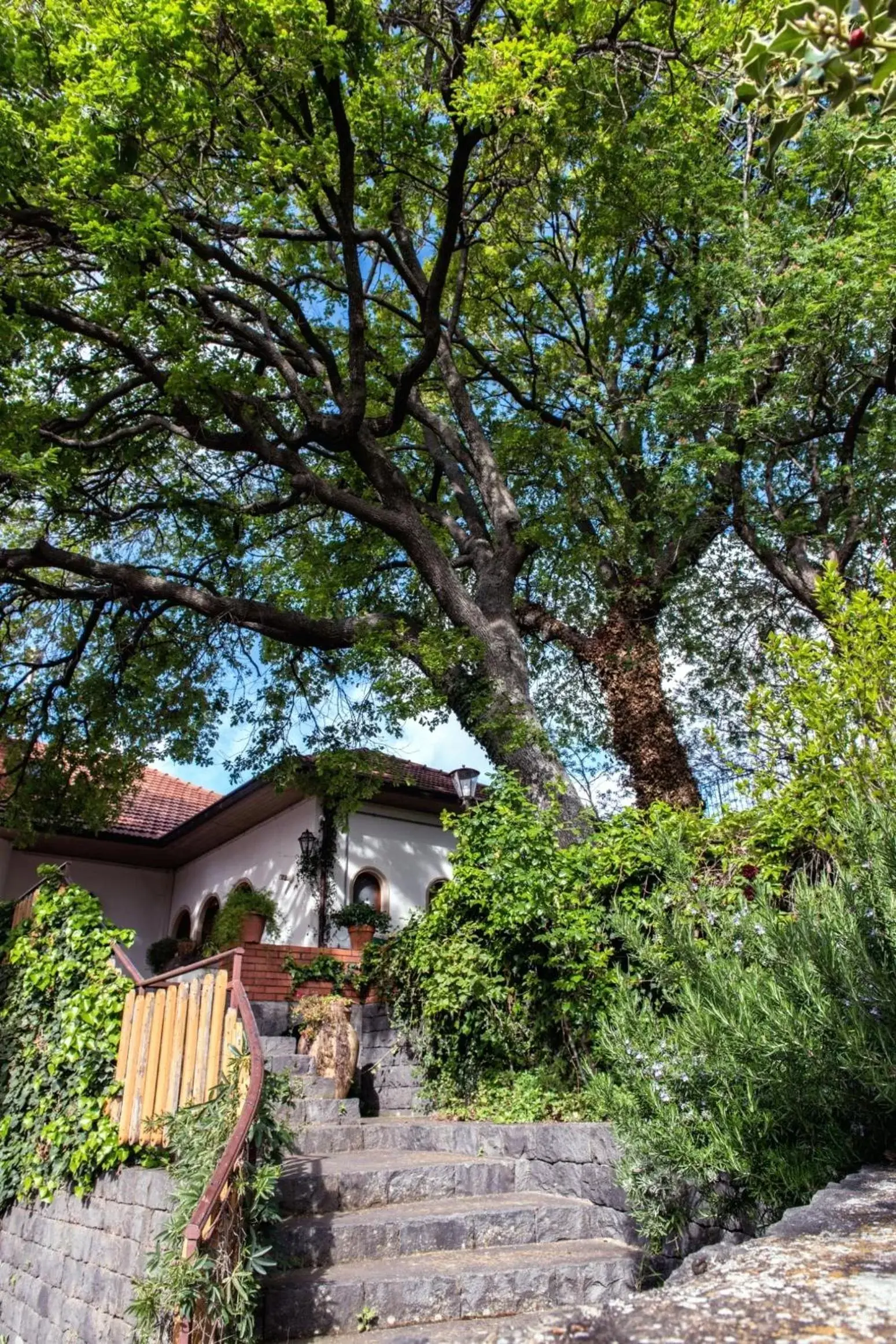 Garden, Property Building in Domus Verdiana