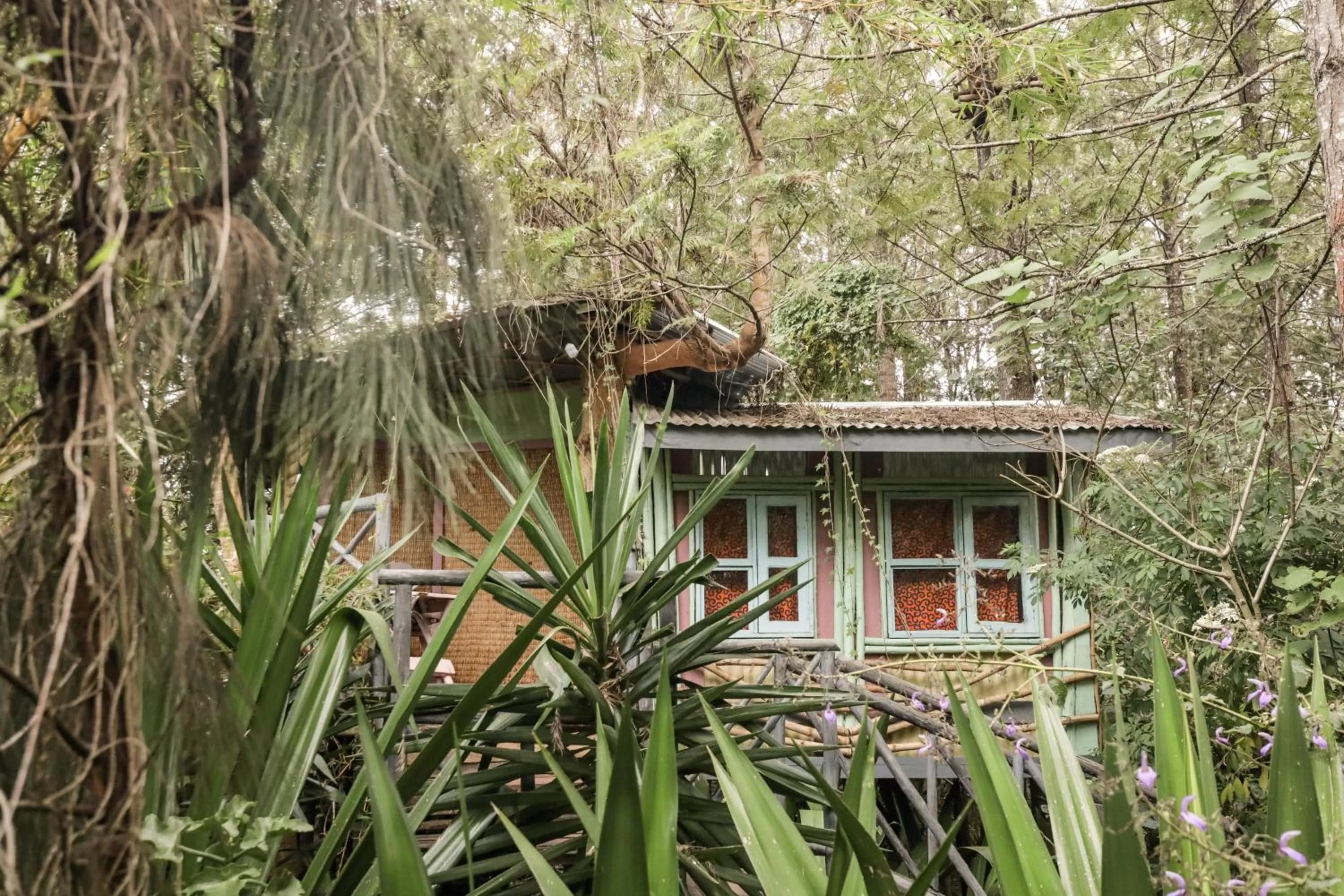 Property Building in Fravan Eco Resort By Apogee