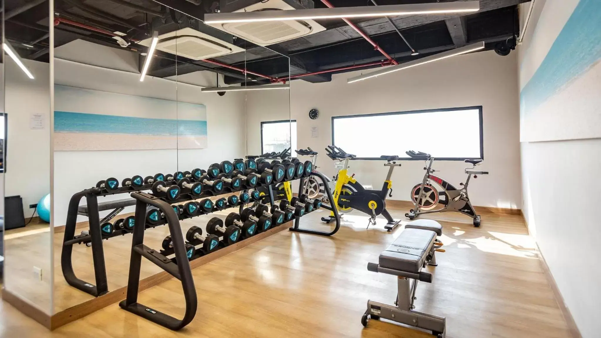 Fitness centre/facilities, Fitness Center/Facilities in Holiday Inn Express Cartagena Manga, an IHG Hotel
