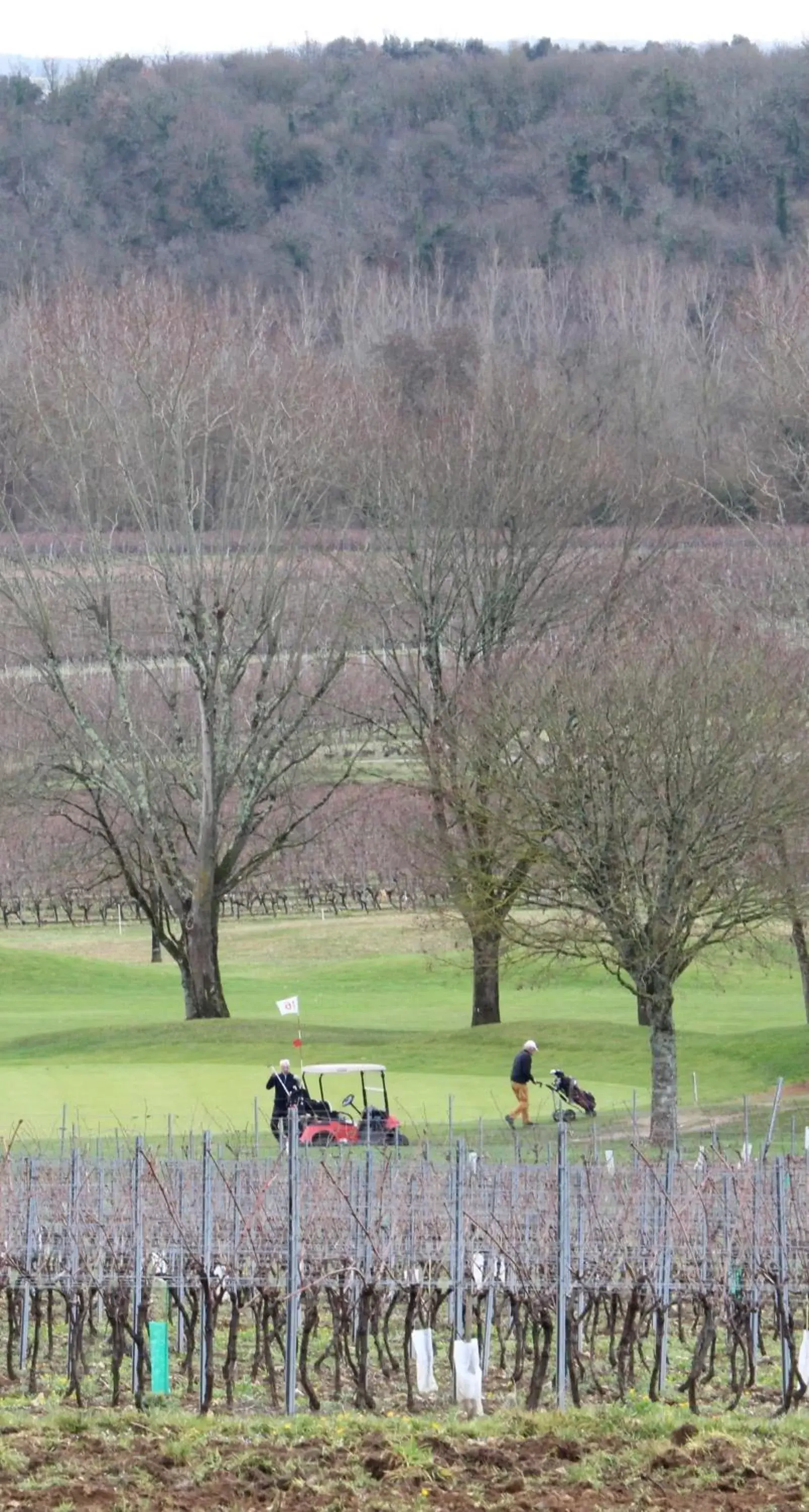 Golfcourse, Other Animals in Suite en Terrasse à Cognac