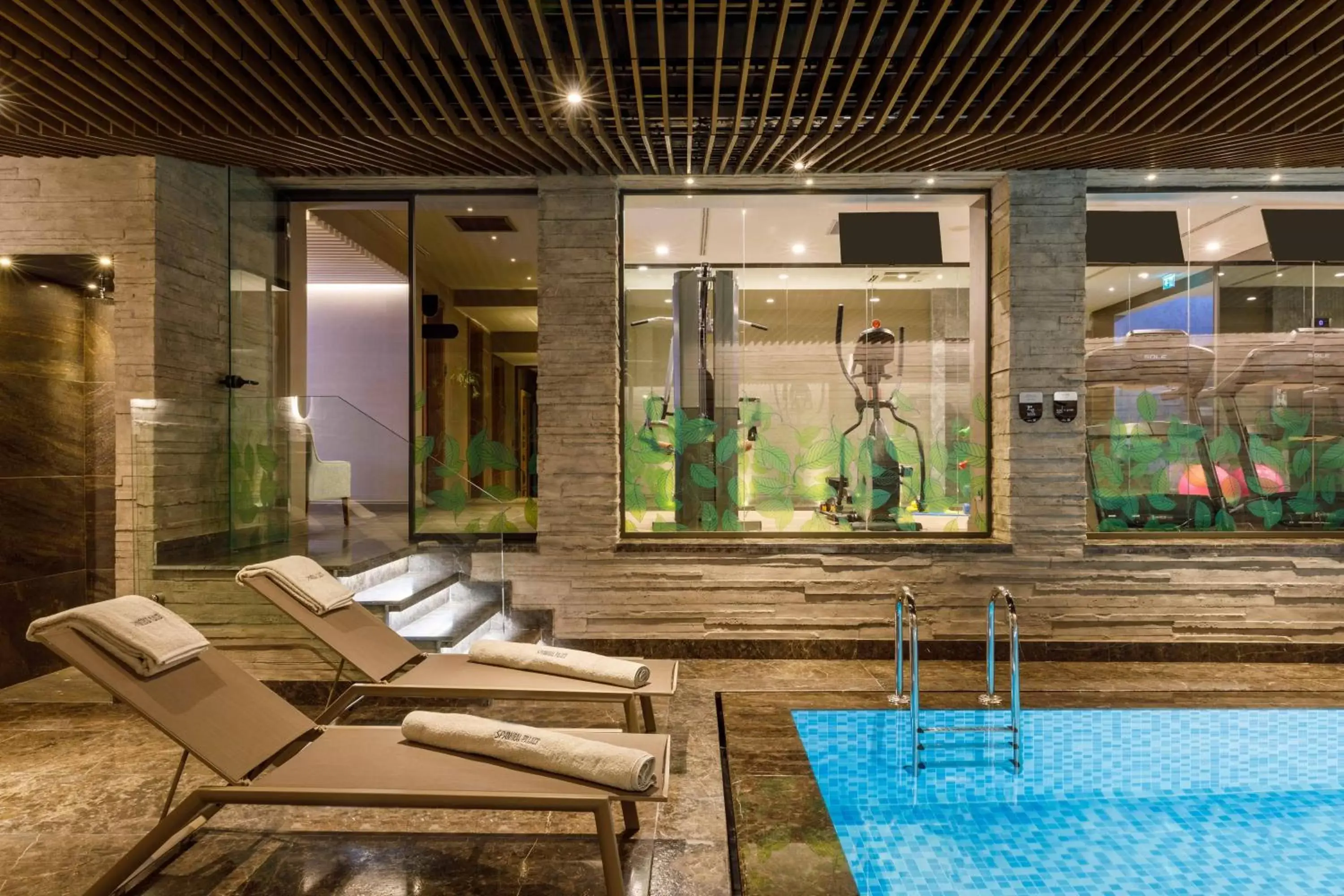 Spa and wellness centre/facilities, Swimming Pool in Amiral Palace Hotel Boutique Class