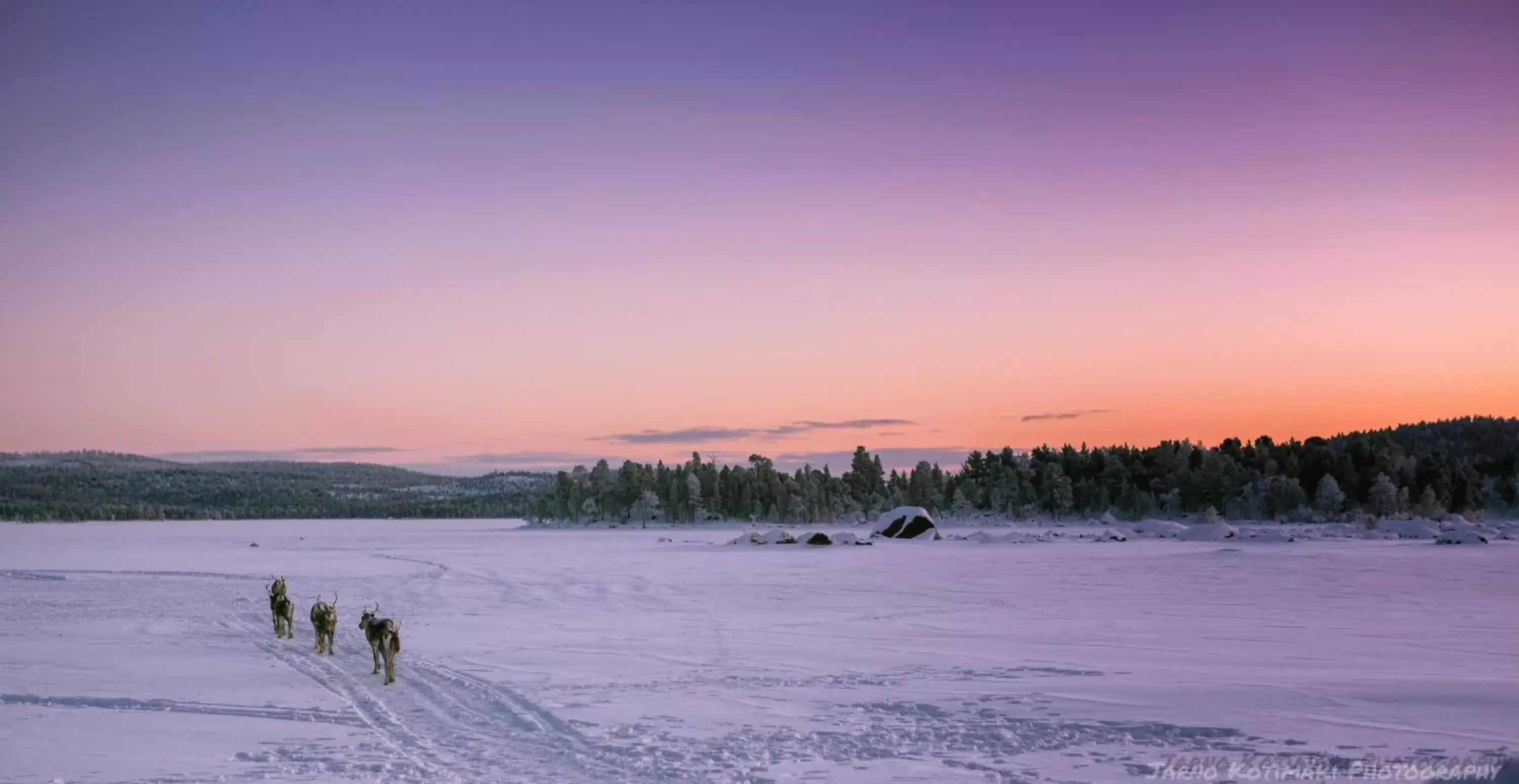 Natural landscape in Kultahippu Hotel & Apartments