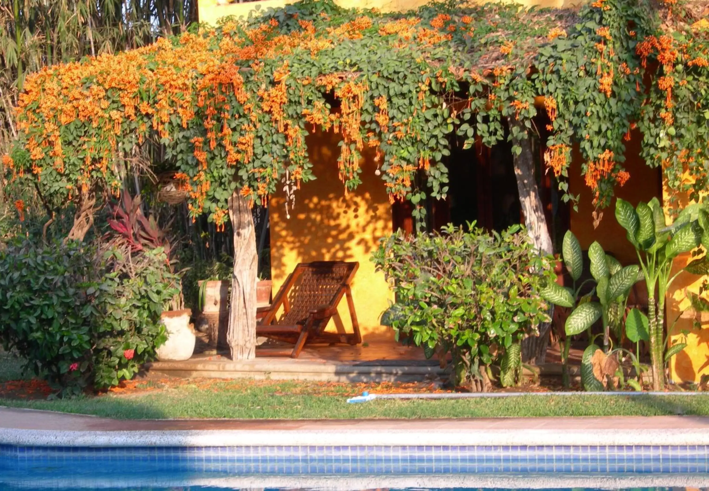 Decorative detail, Swimming Pool in Casa Villa Magnolia B&B