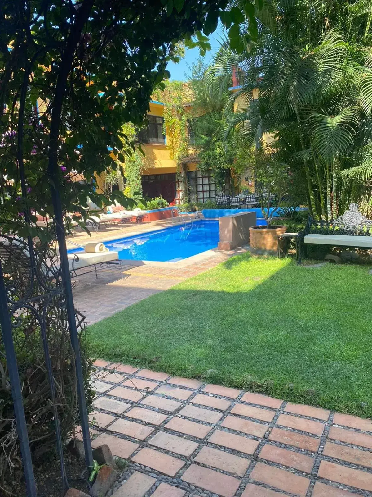Natural landscape, Swimming Pool in Hacienda de las Flores