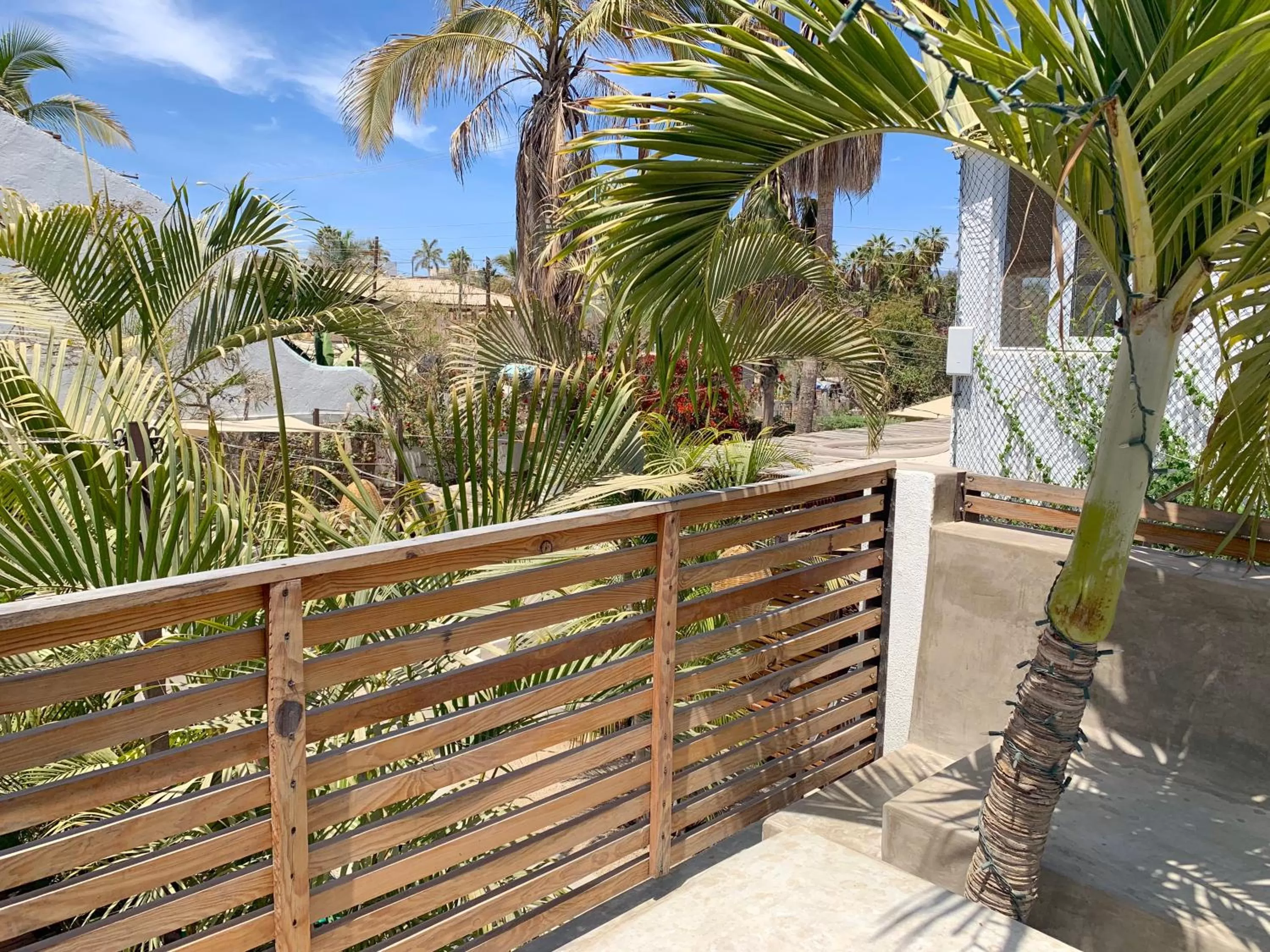 Balcony/Terrace in Perro Surfero Hotel