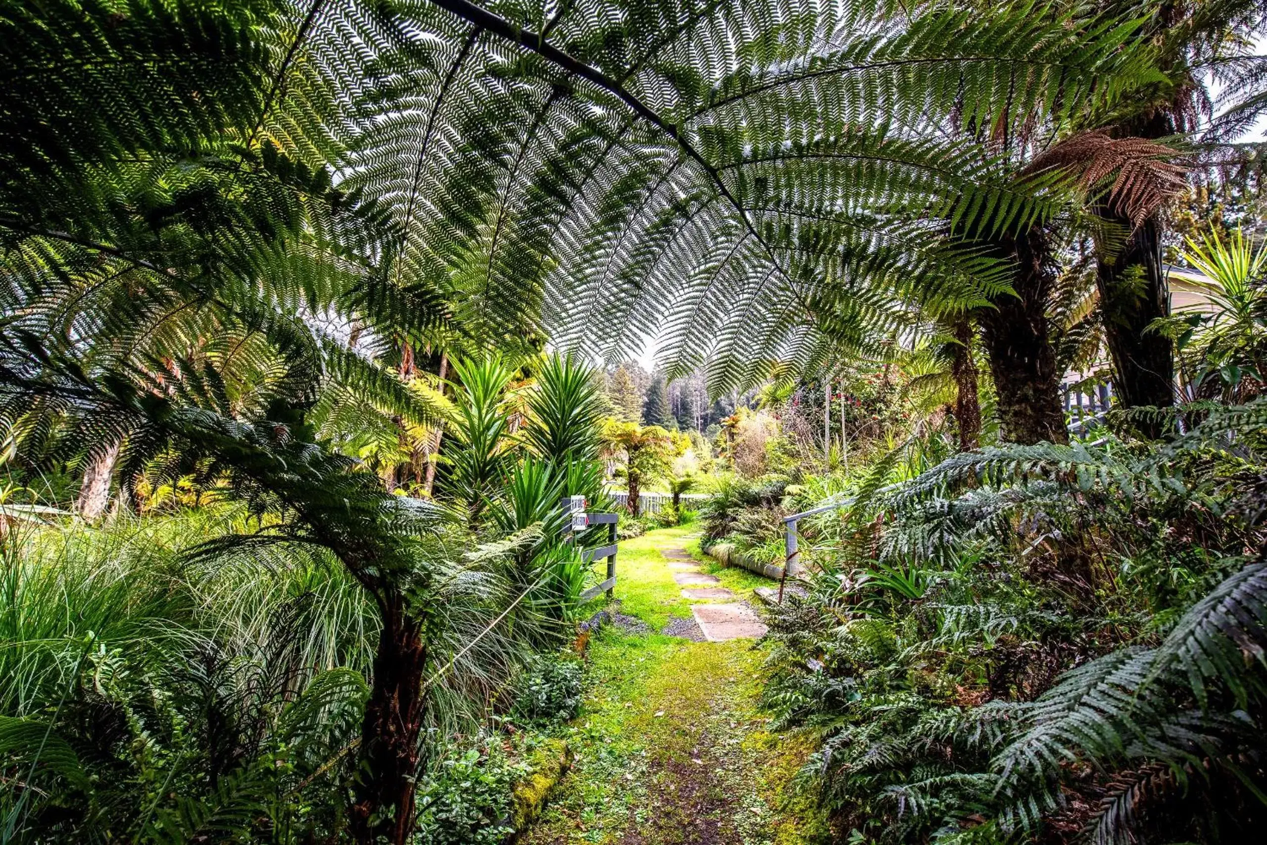 Natural landscape in Best Western Braeside Rotorua