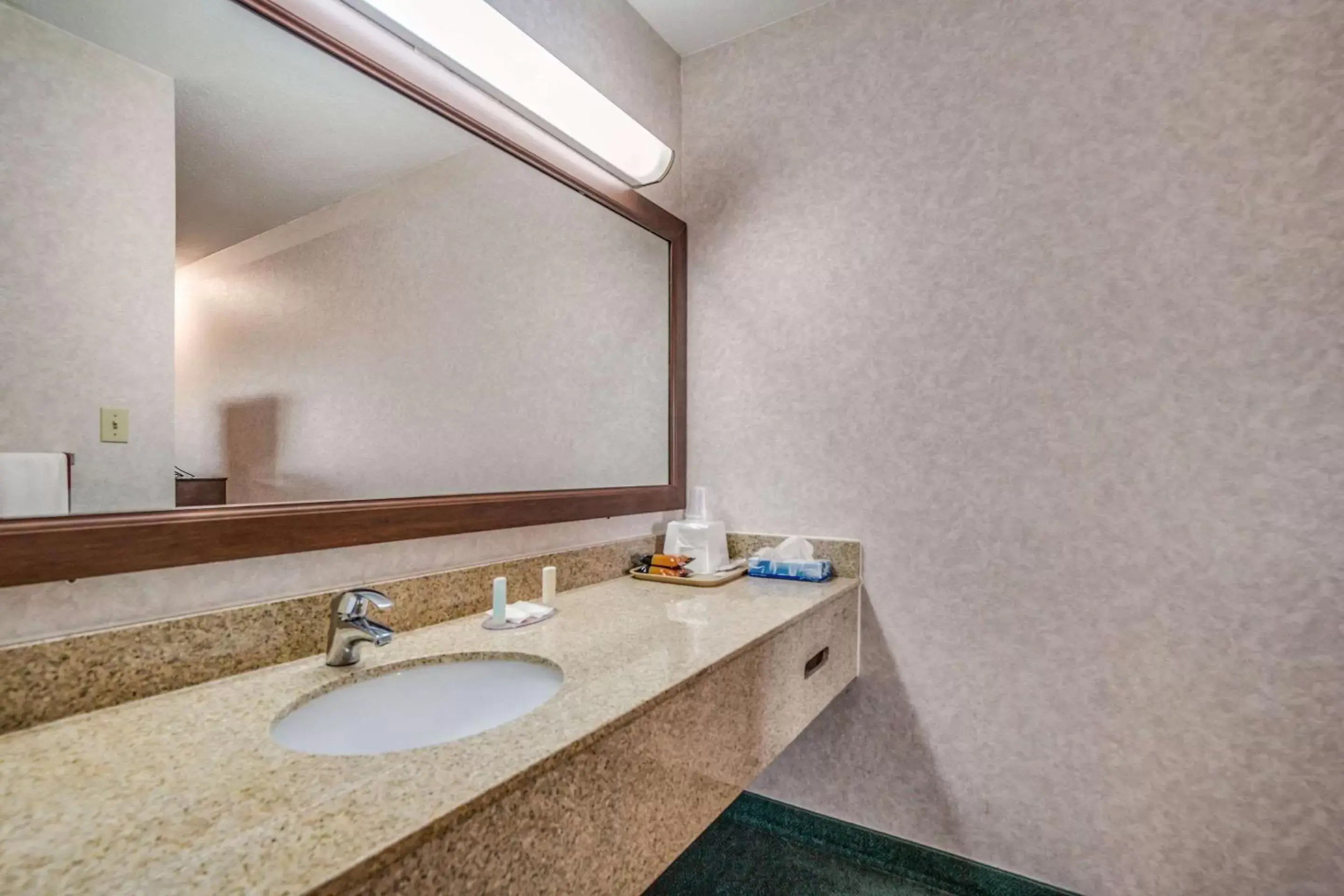 Bathroom in Economy Inn