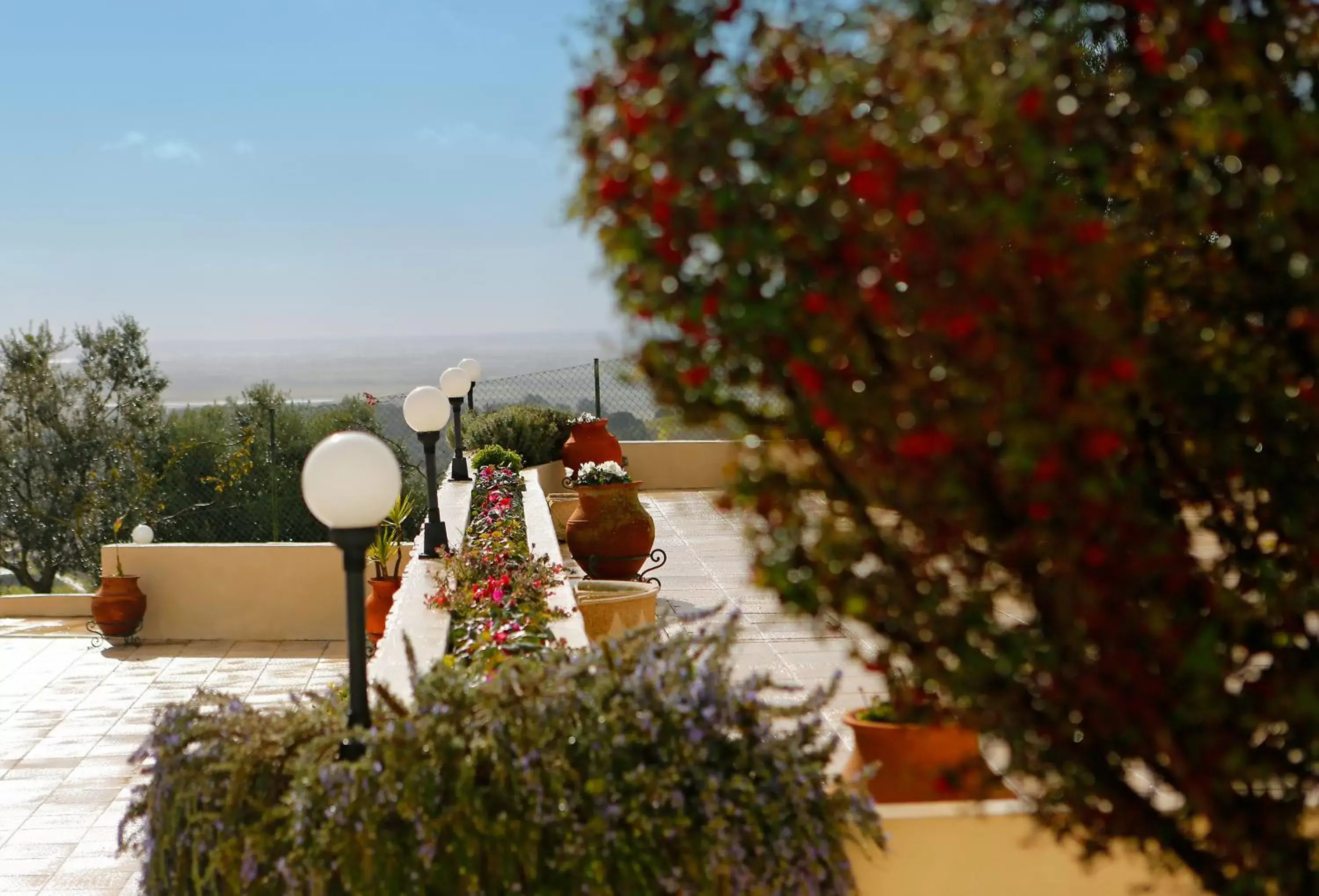 Garden in Santarem Hotel