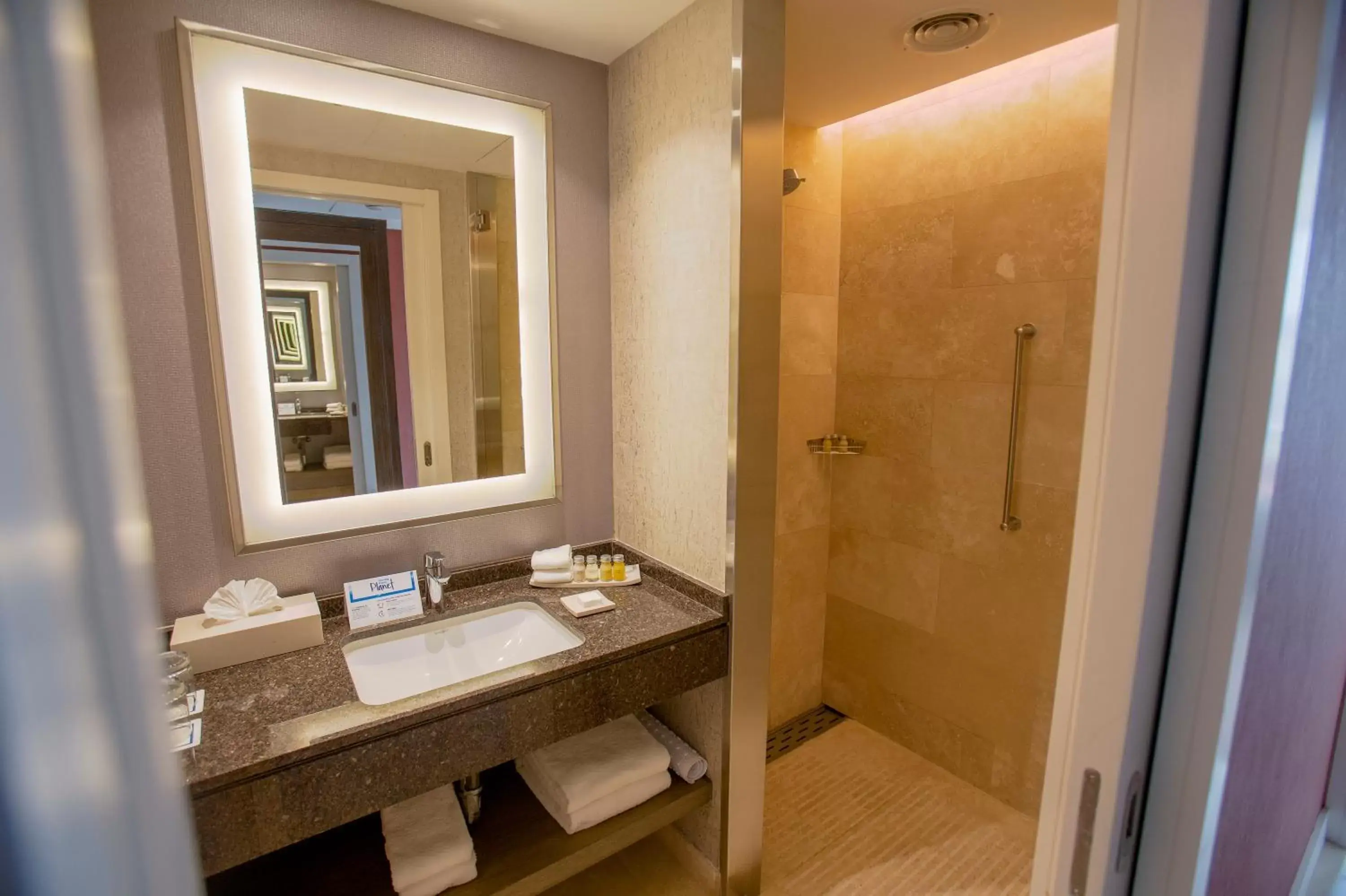 Bathroom in Hilton Pilar