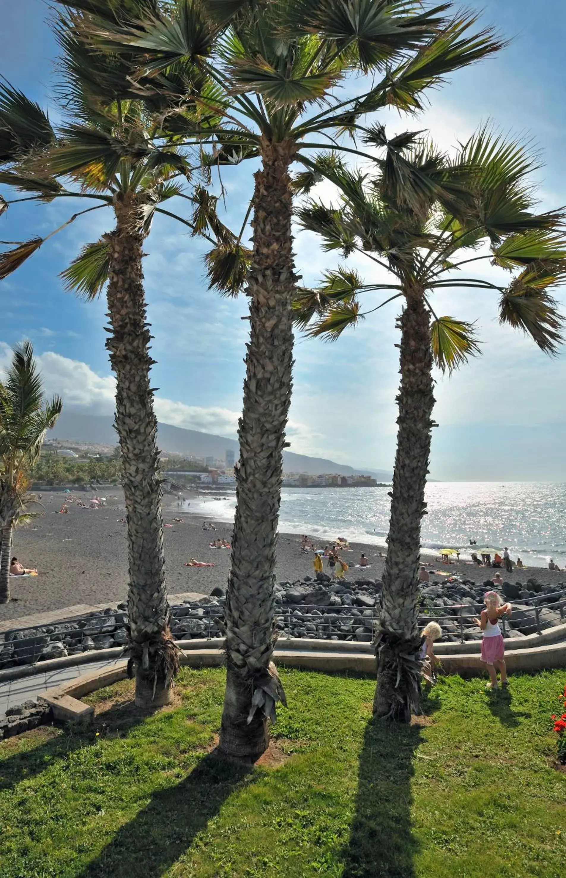 Beach in Sol Puerto de la Cruz Tenerife