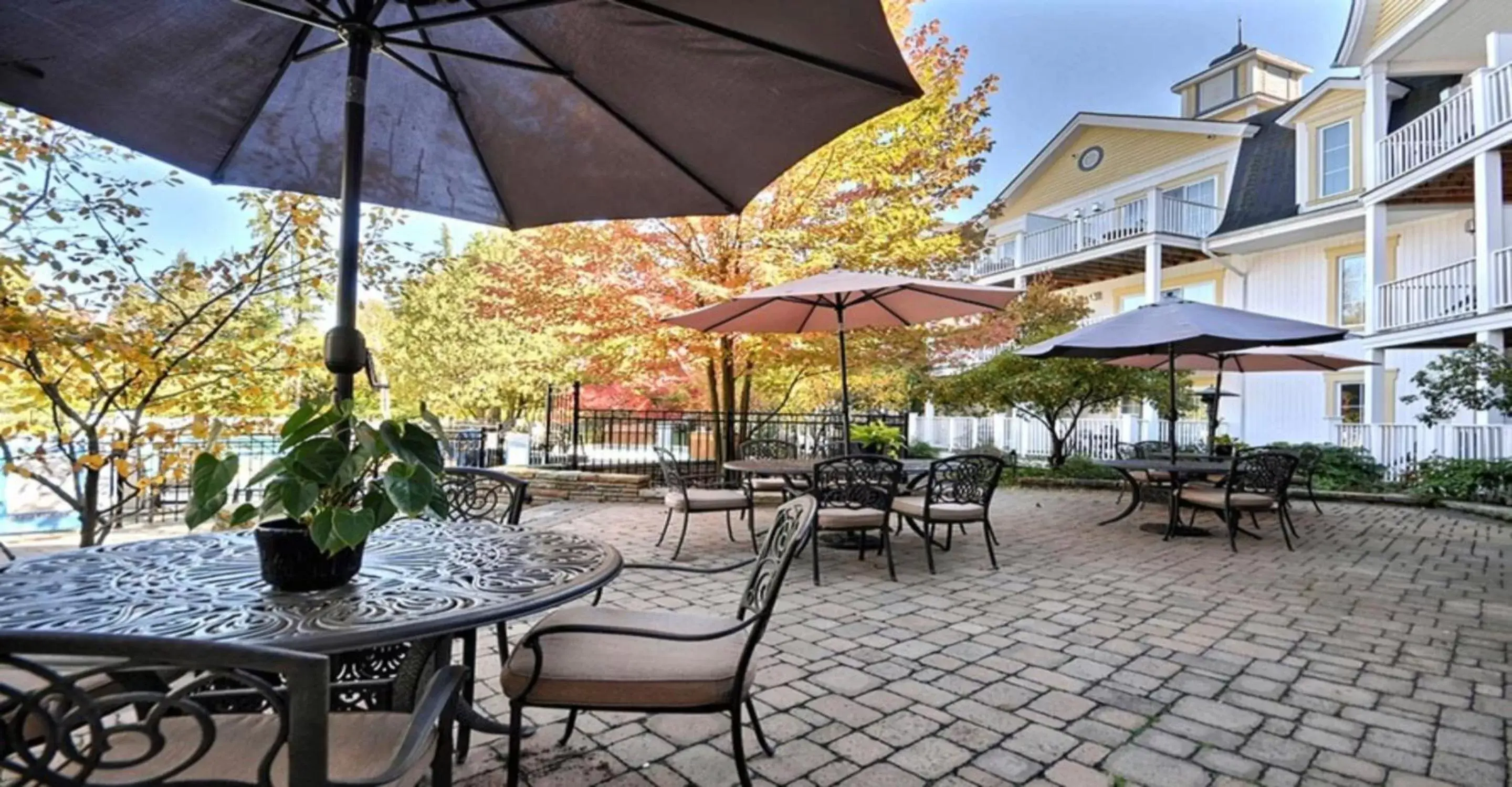 Restaurant/places to eat in Château Beauvallon Restaurant/places to eat in Château Beauvallon