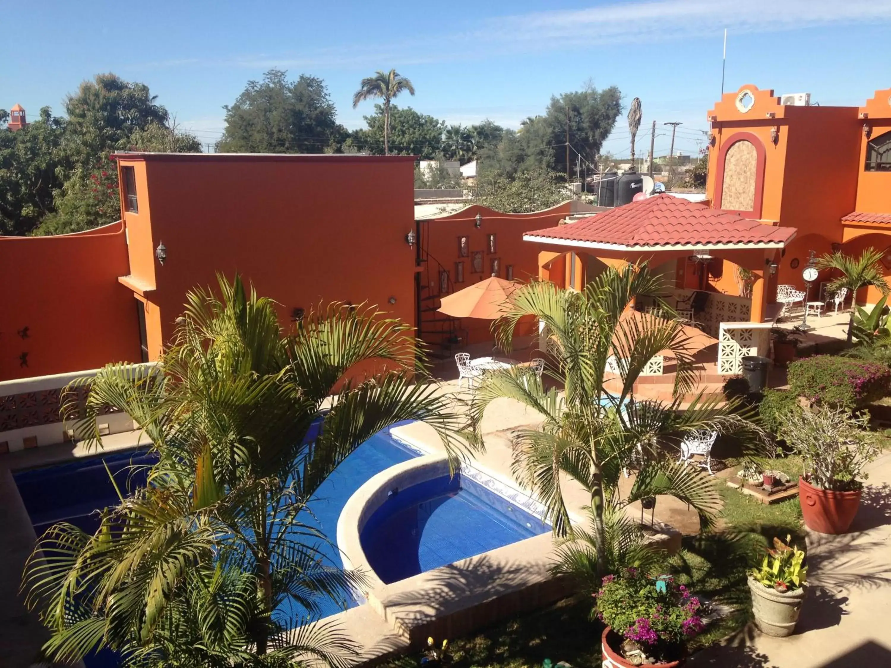 Garden, Pool View in Hotel Oasis