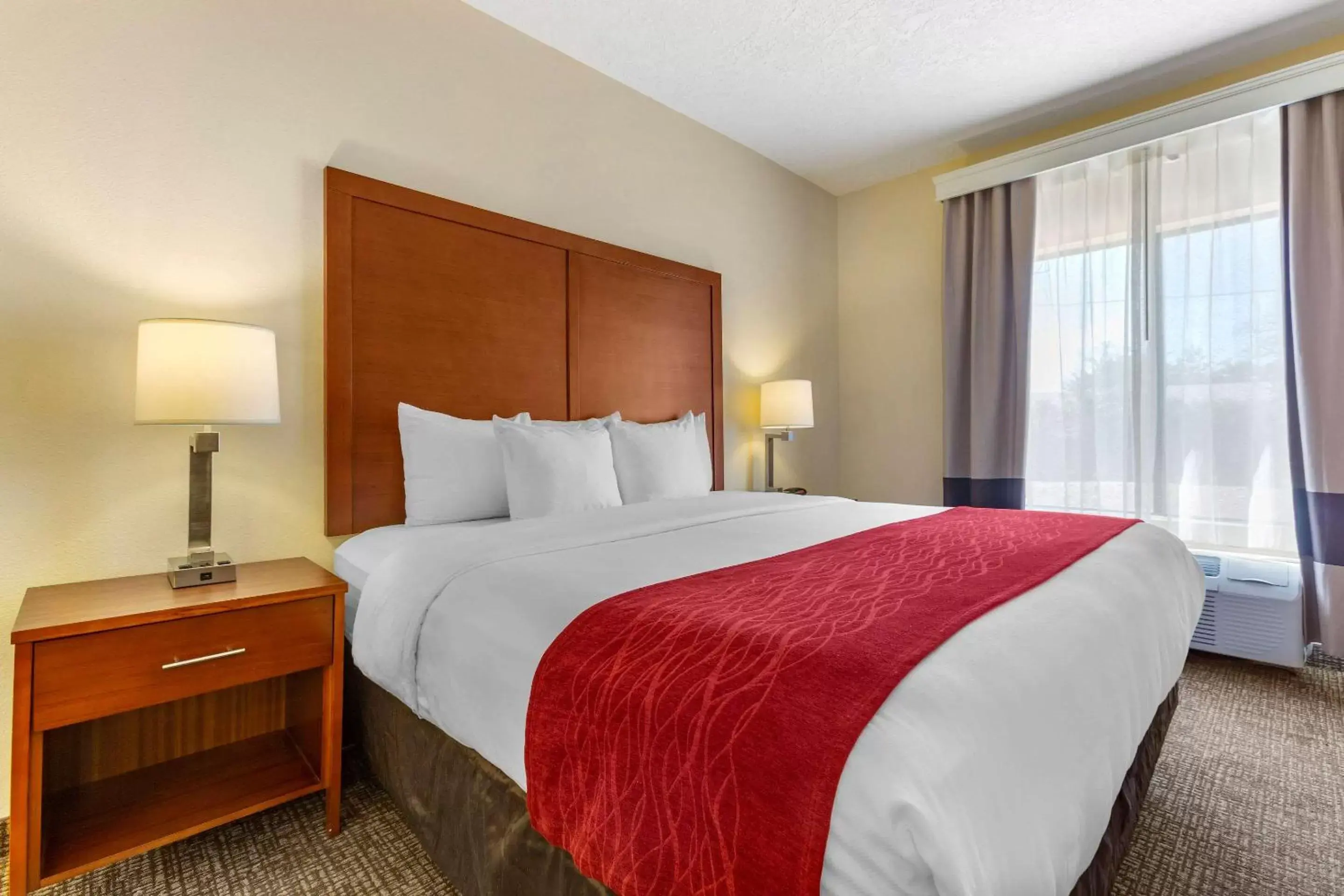 Photo of the whole room, Room Photo in Comfort Inn & Suites Socorro