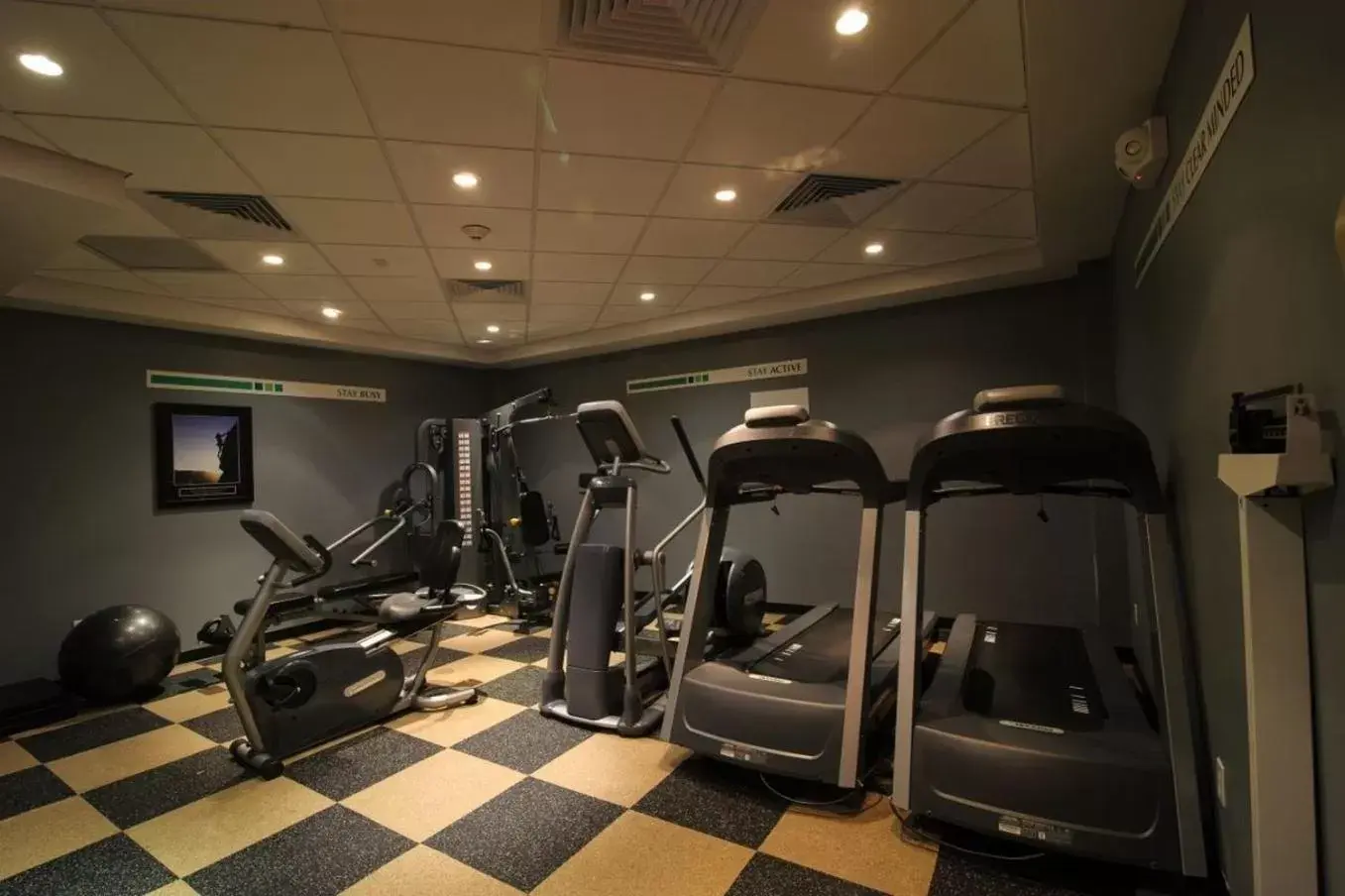 Fitness centre/facilities, Fitness Center/Facilities in Holiday Inn Plainview-Long Island, an IHG Hotel