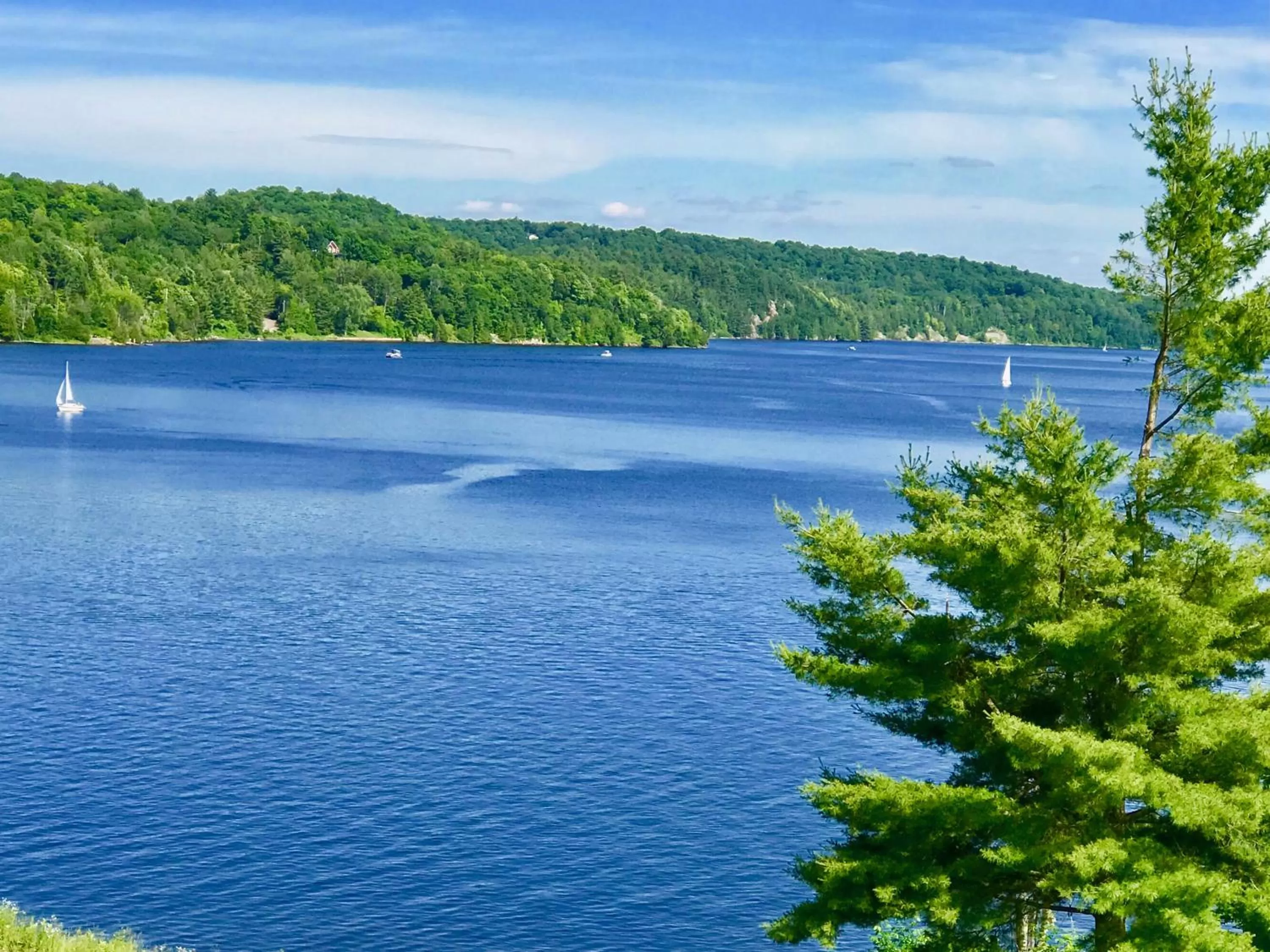 Natural landscape in Auberge Tom B&B