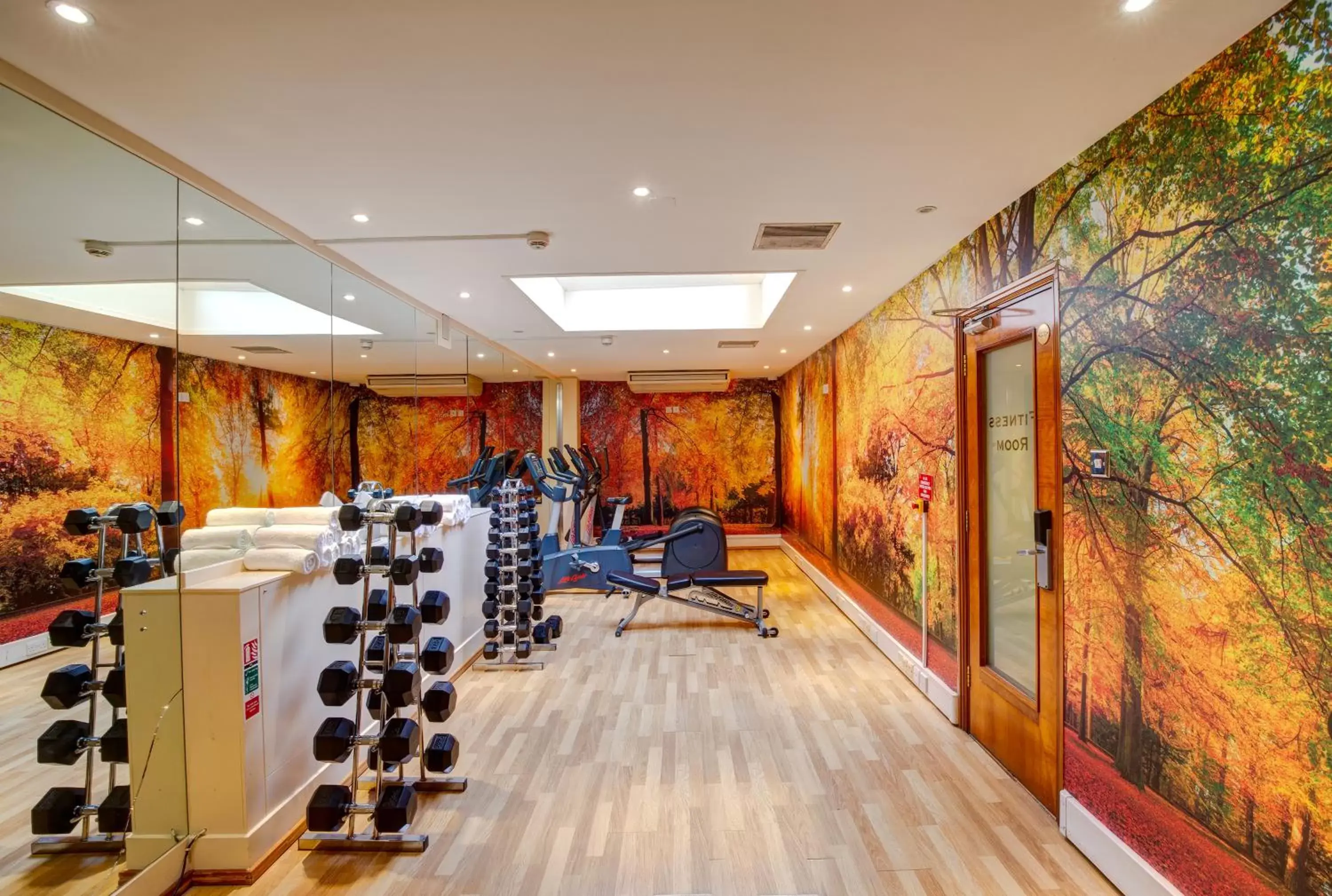 Fitness centre/facilities, Fitness Center/Facilities in Copthorne Tara Hotel London Kensington