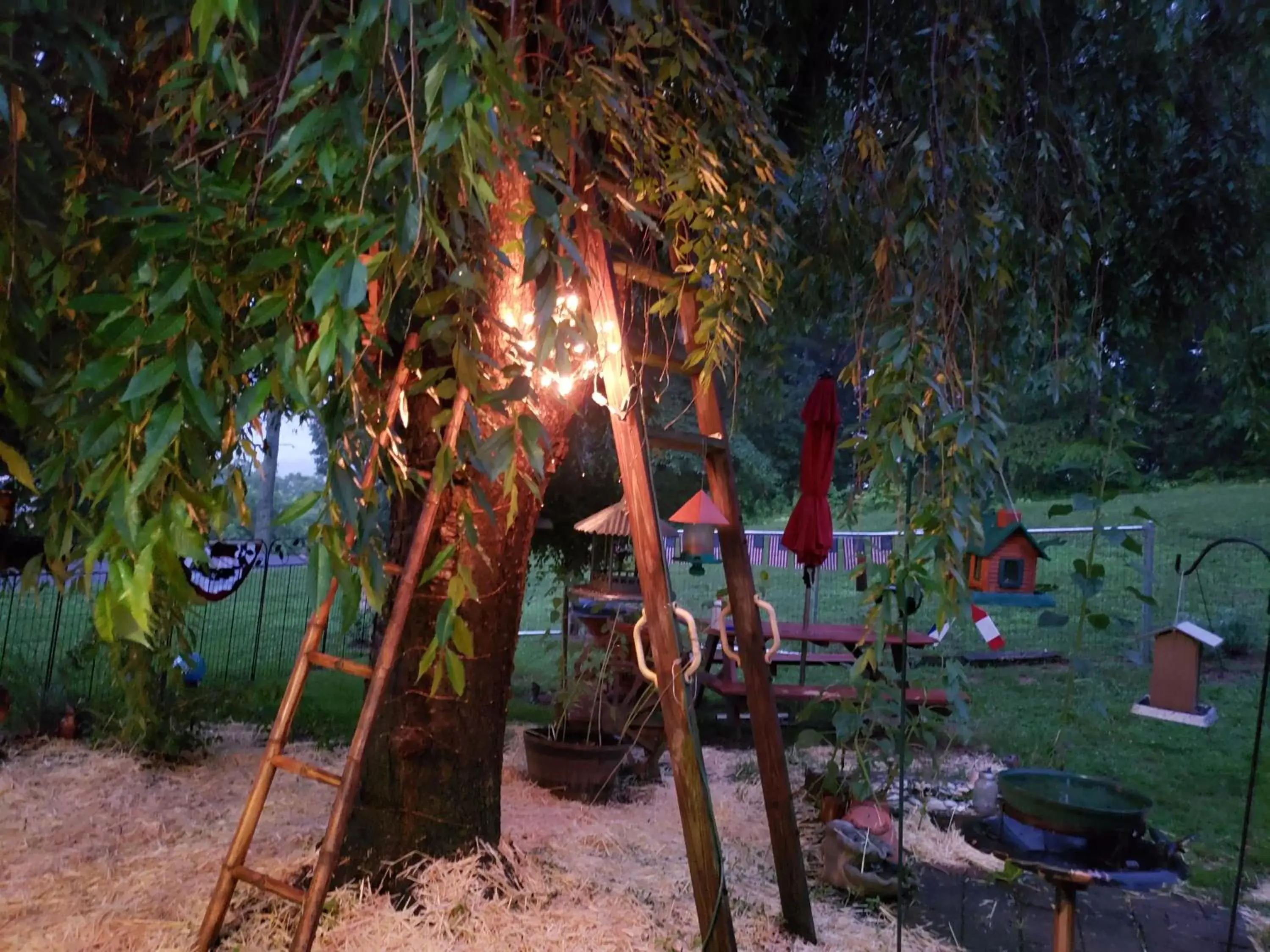 Blue Ridge Manor Bed and Breakfast Blue Ridge Manor Bed and Breakfast